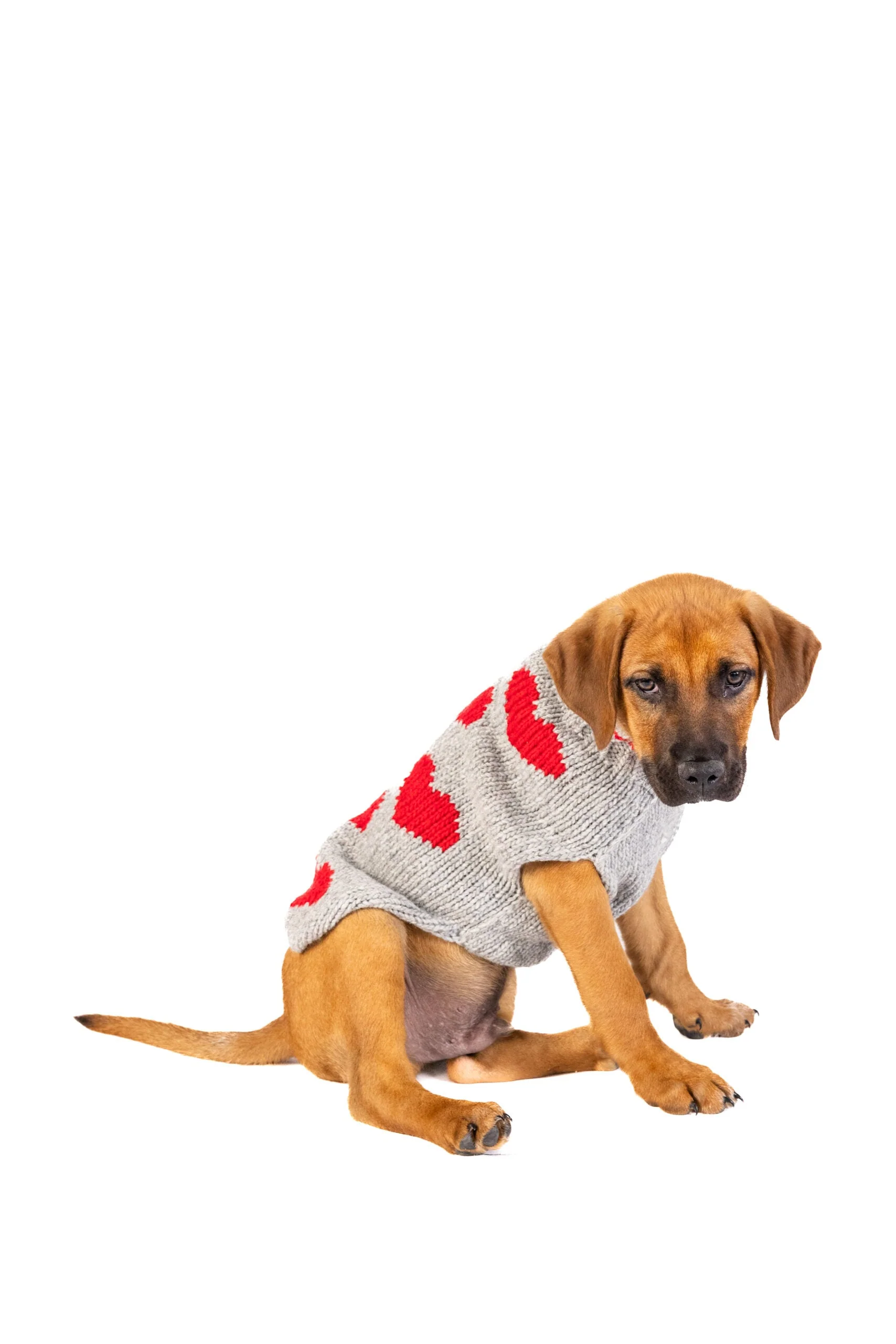 Red Hearts Dog Sweater - Image 4