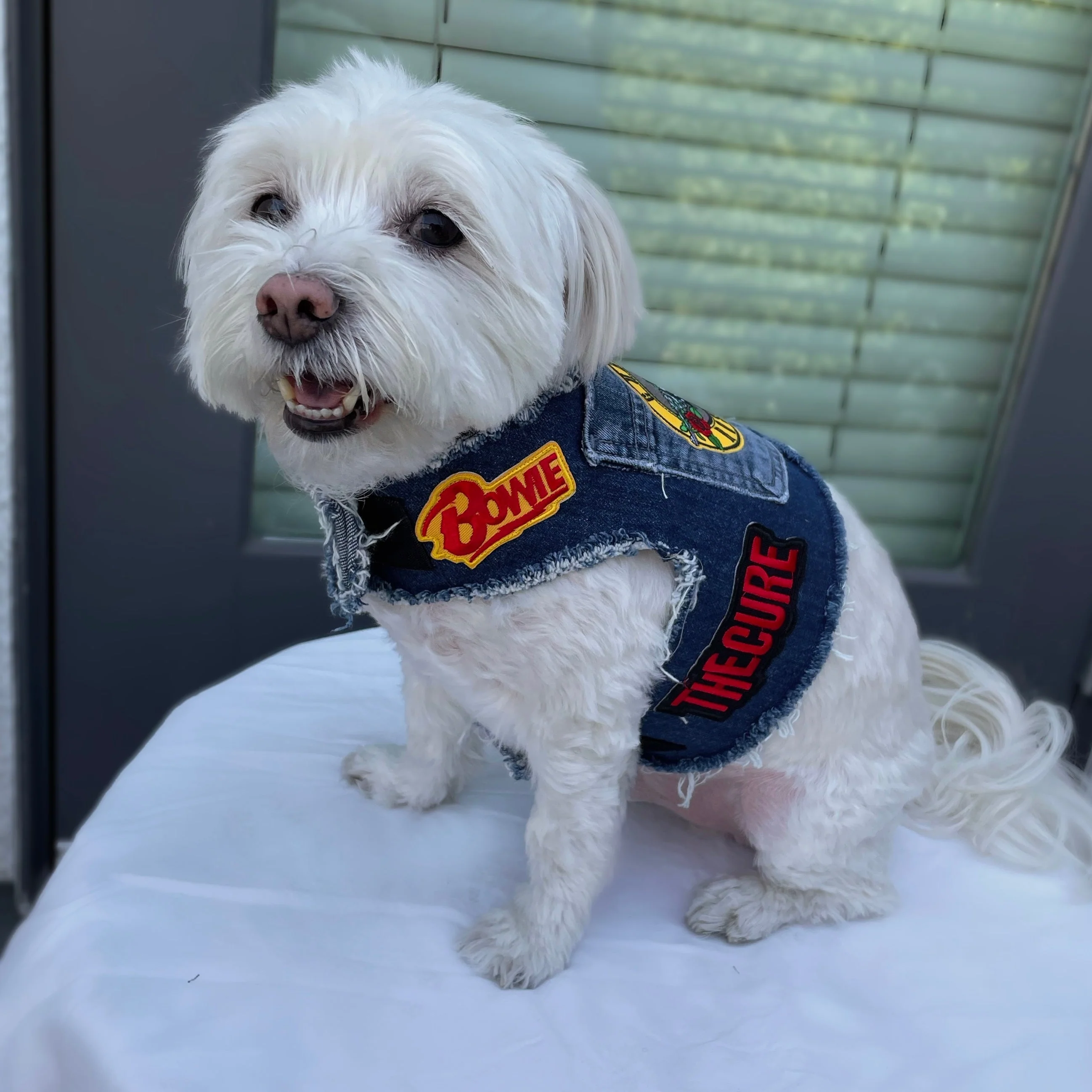 Red Hot Chili Peppers Harness - Image 5