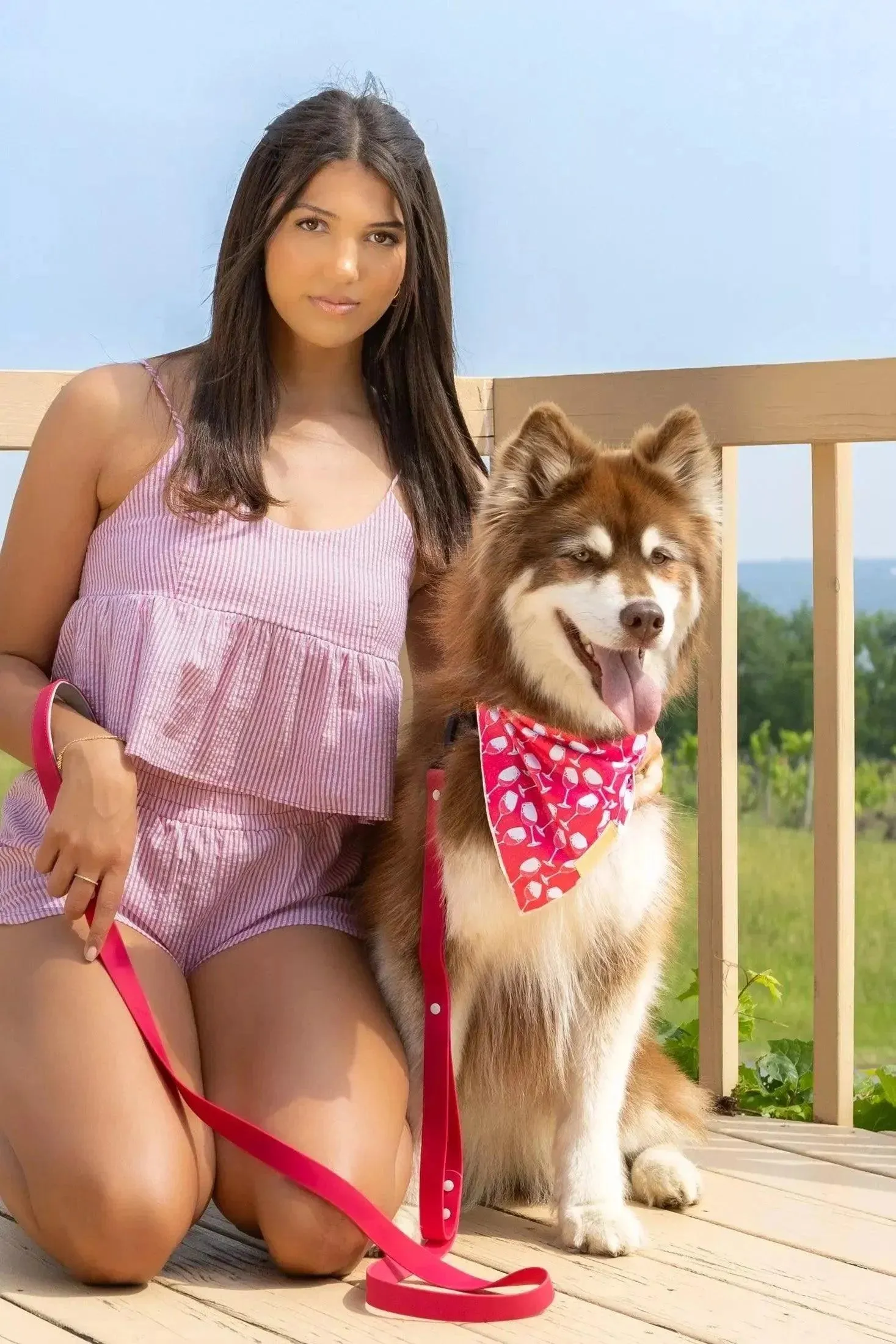 Red Mountain Syrah Dog Bandana & Matching Keychain - Image 4