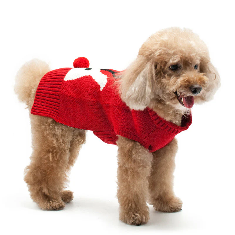 Red Nose Reindeer Sweater - Image 5