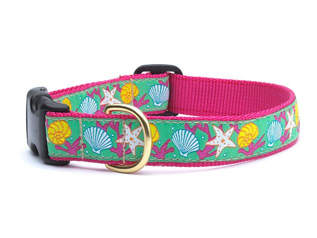Up Country Reef Cast Brass Dog Collar