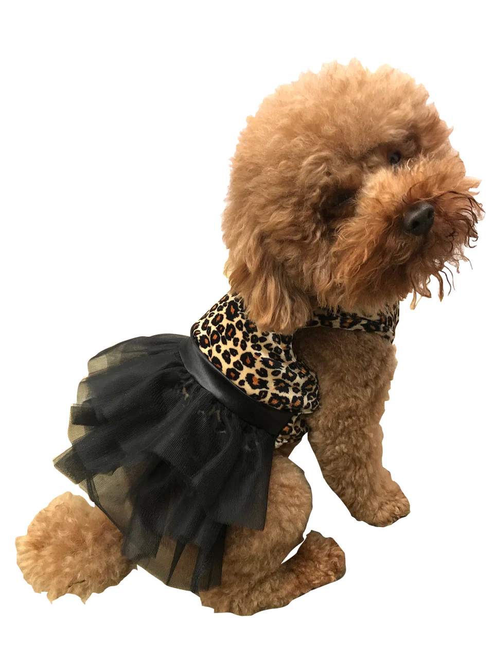Retro Leopard Velvet Tutu Dress - Image 2