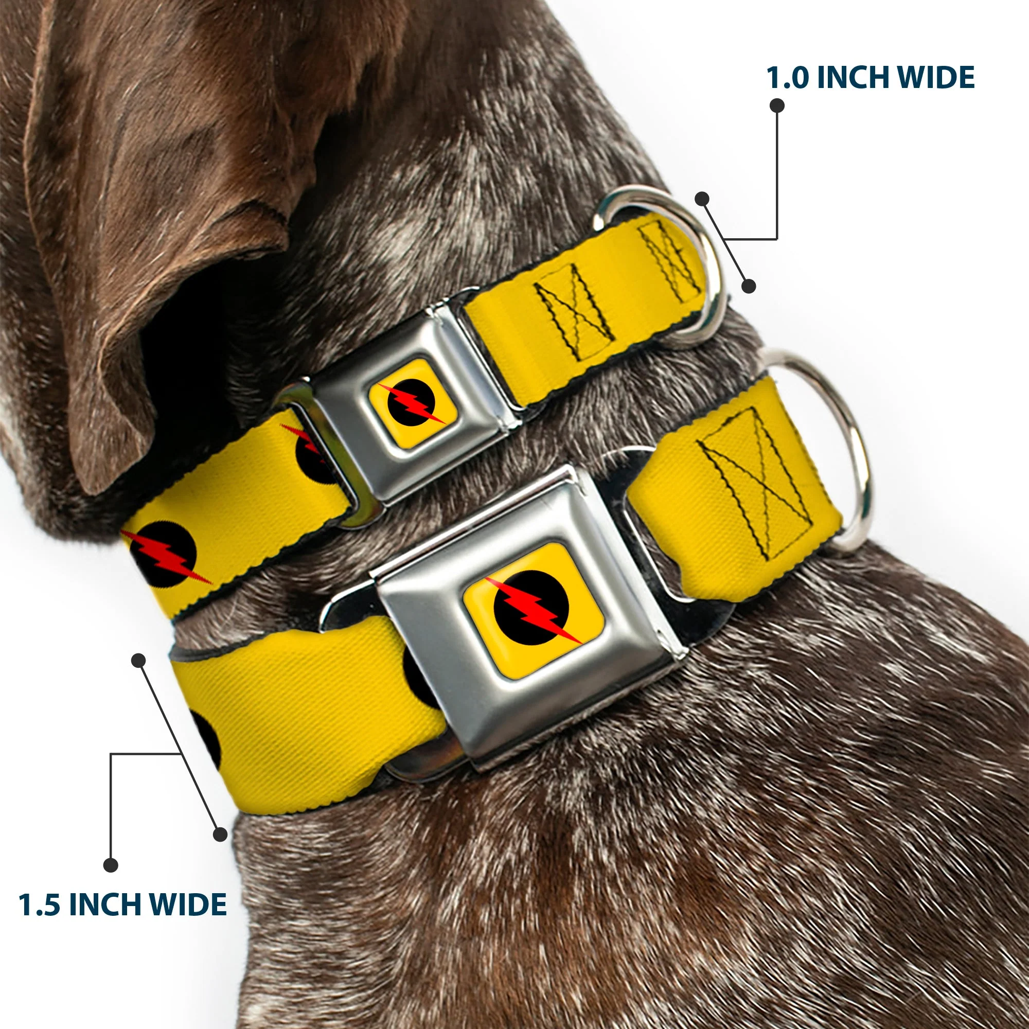 Reverse Flash Logo Full Color Golden Yellow Black Red Seatbelt Buckle Collar - Reverse Flash Logo Golden Yellow/Black/Red - Image 2