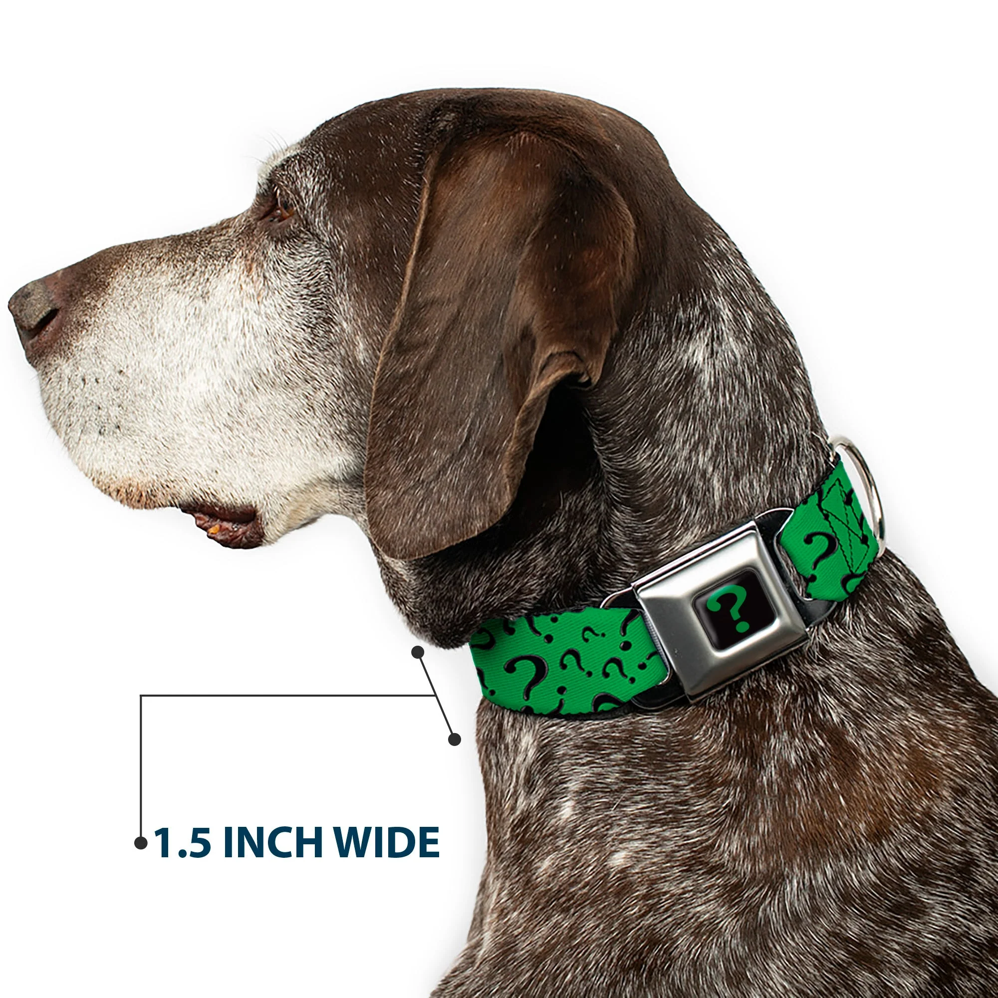 Riddler "?" Black/Green Seatbelt Buckle Collar - Question Mark Scattered3 Dark Green/Black - Image 7