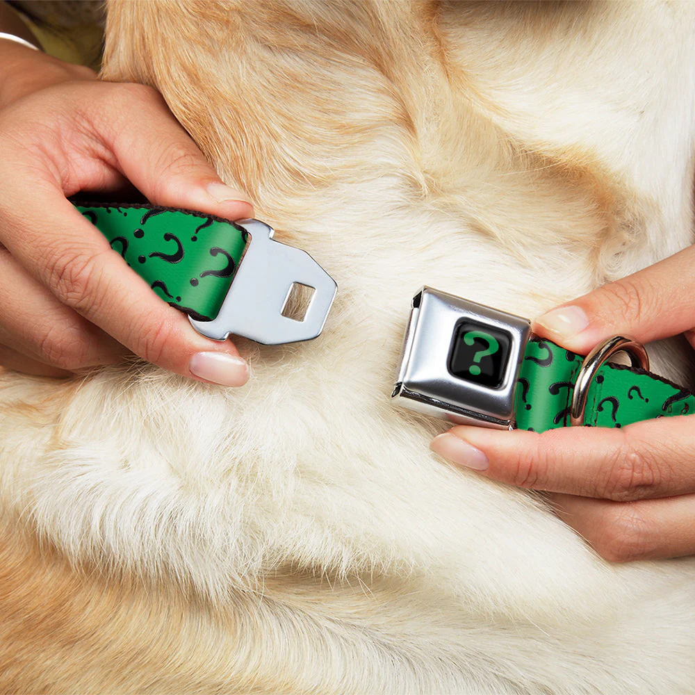 Riddler "?" Black/Green Seatbelt Buckle Collar - Question Mark Scattered3 Dark Green/Black - Image 8