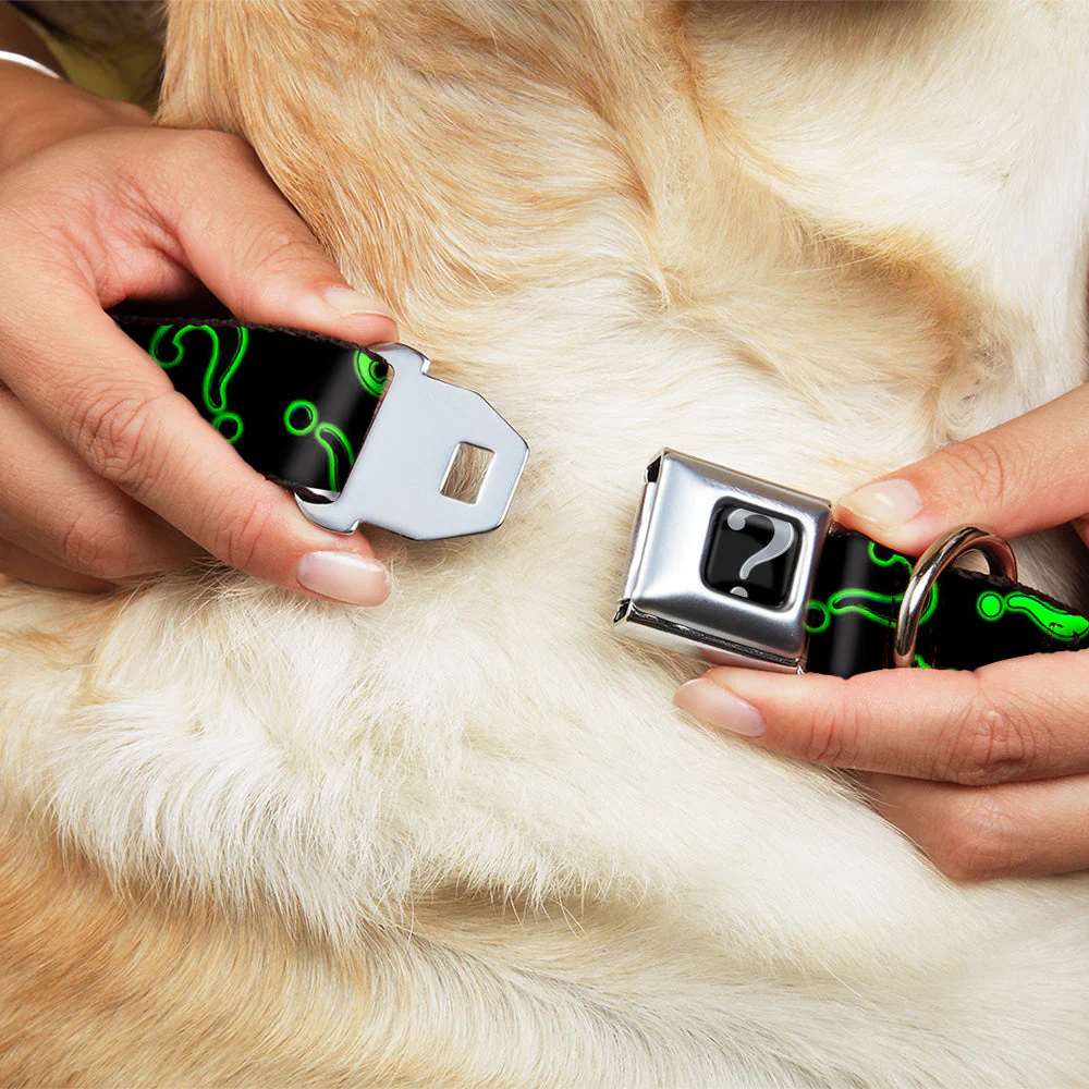 Riddler "?" Black/Silver Seatbelt Buckle Collar - Question Mark Scattere2 Black/Neon Green - Image 8