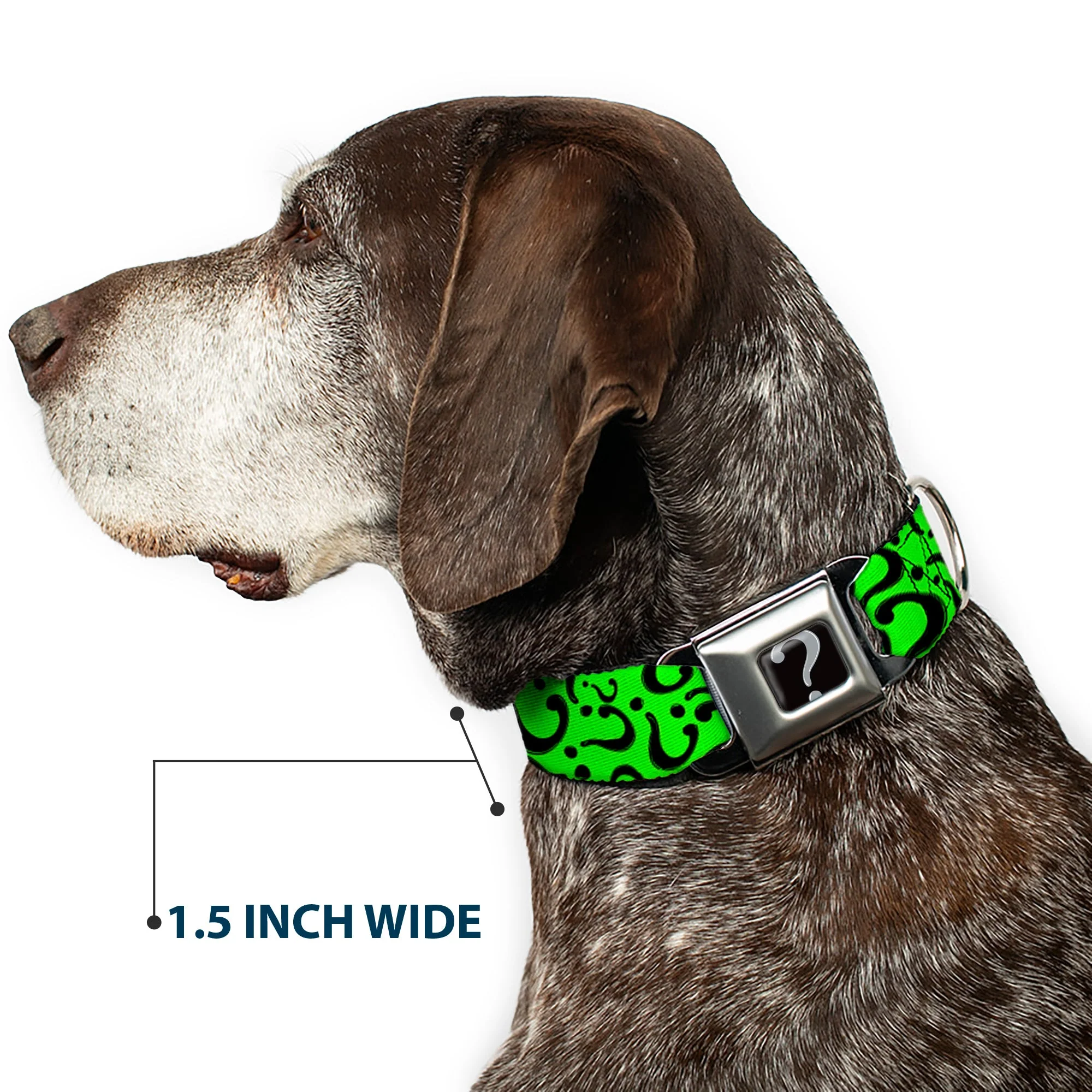 Riddler "?" Black Silver Seatbelt Buckle Collar - Question Mark Scattered Lime Green/Black - Image 7