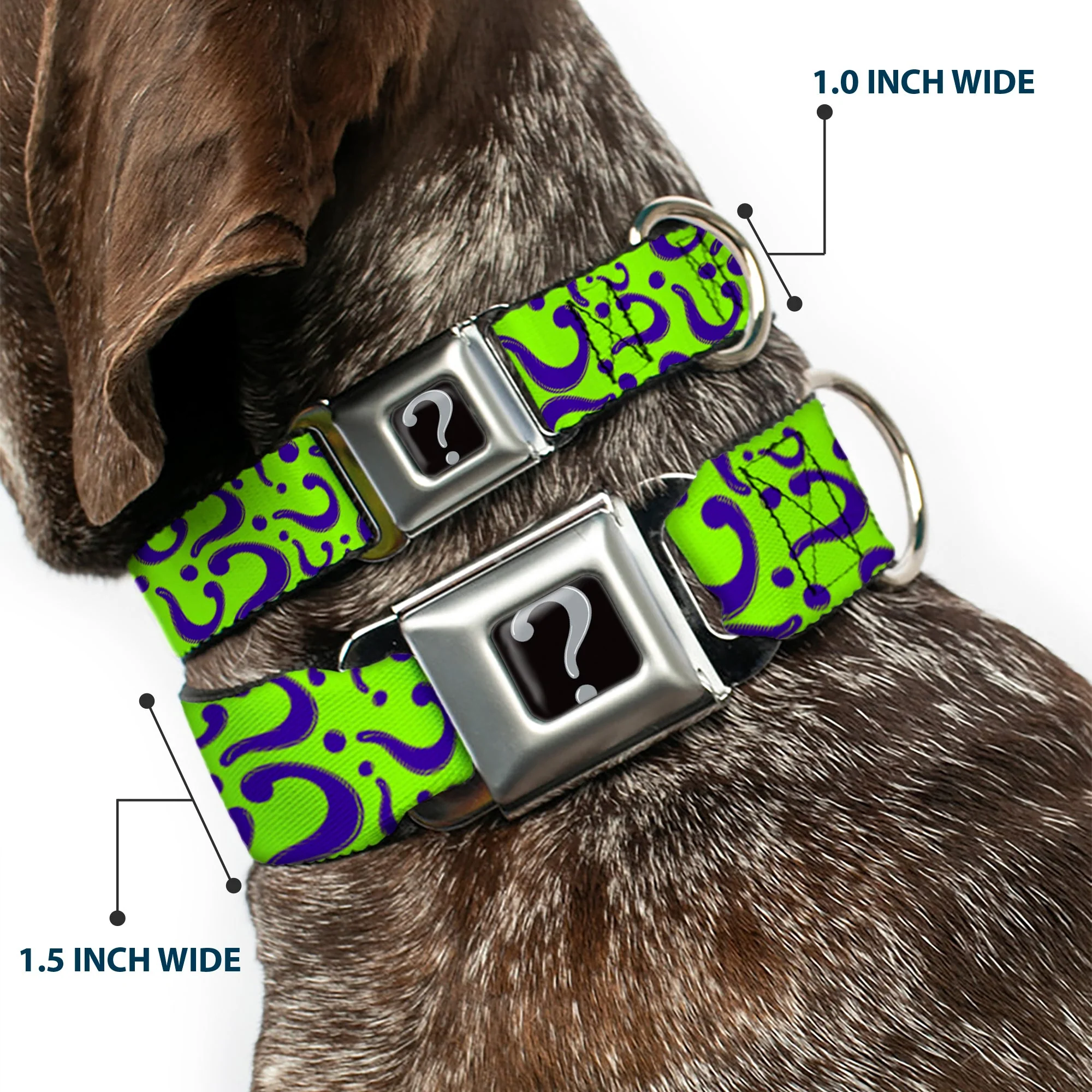 Riddler "?" Black Silver Seatbelt Buckle Collar - Question Mark Scattered Lime Green/Purple - Image 2