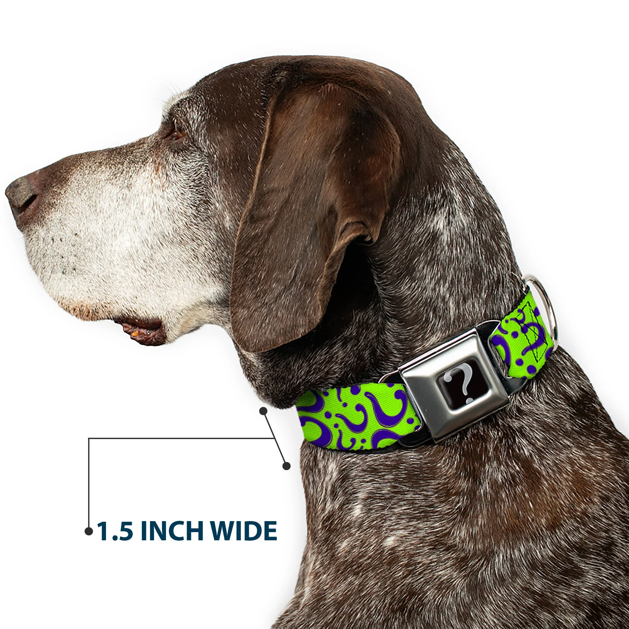 Riddler "?" Black Silver Seatbelt Buckle Collar - Question Mark Scattered Lime Green/Purple - Image 7