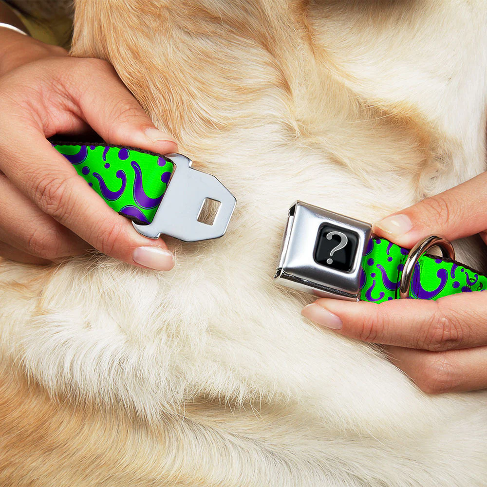 Riddler "?" Black Silver Seatbelt Buckle Collar - Question Mark Scattered Lime Green/Purple - Image 8
