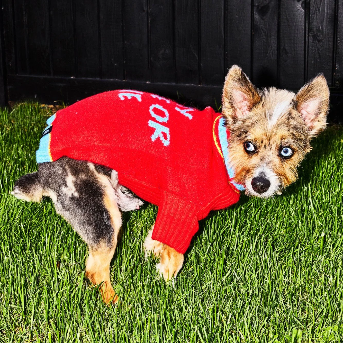 Ride or Die Sweater - Image 8