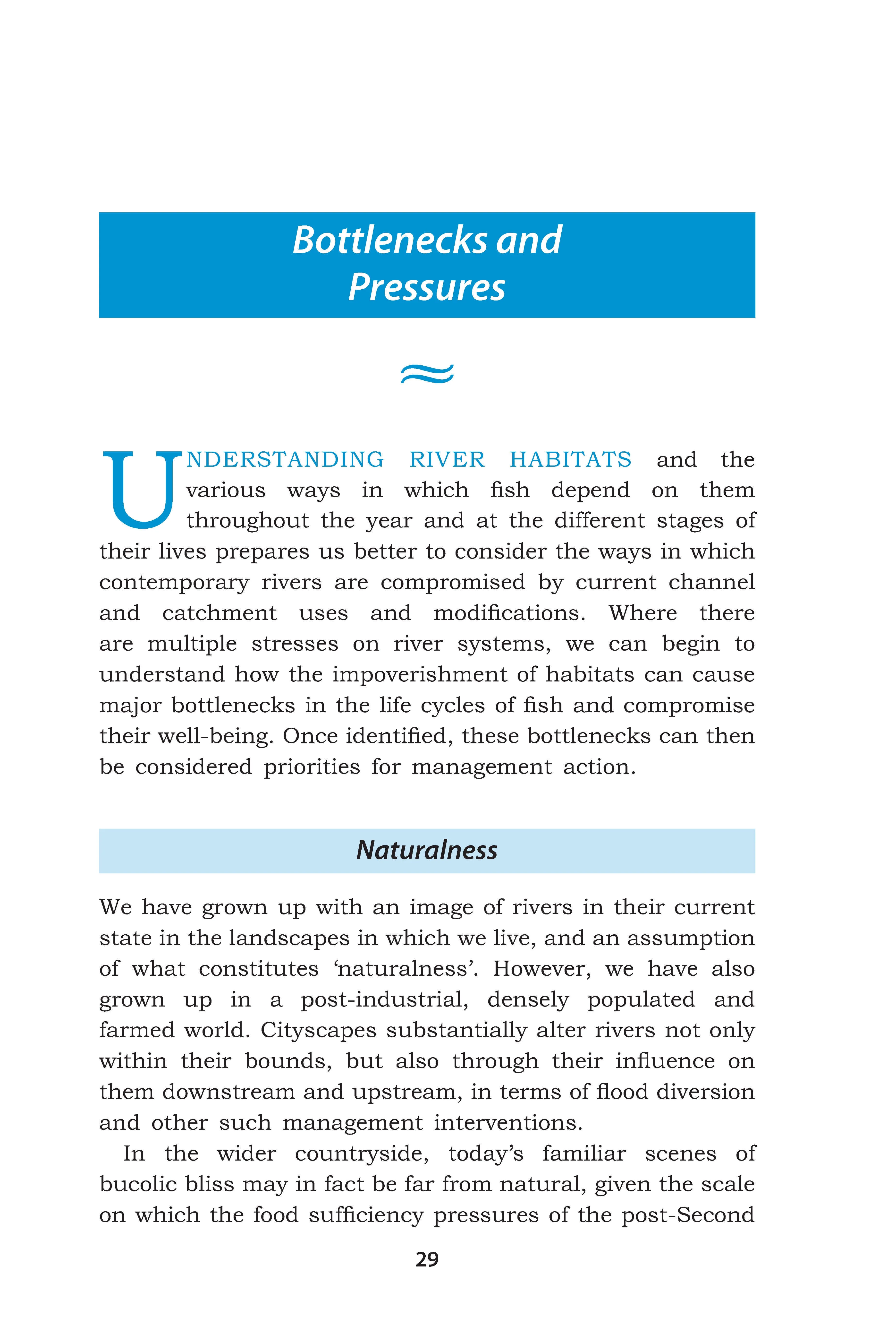 River Habitats for Coarse Fish - Image 2