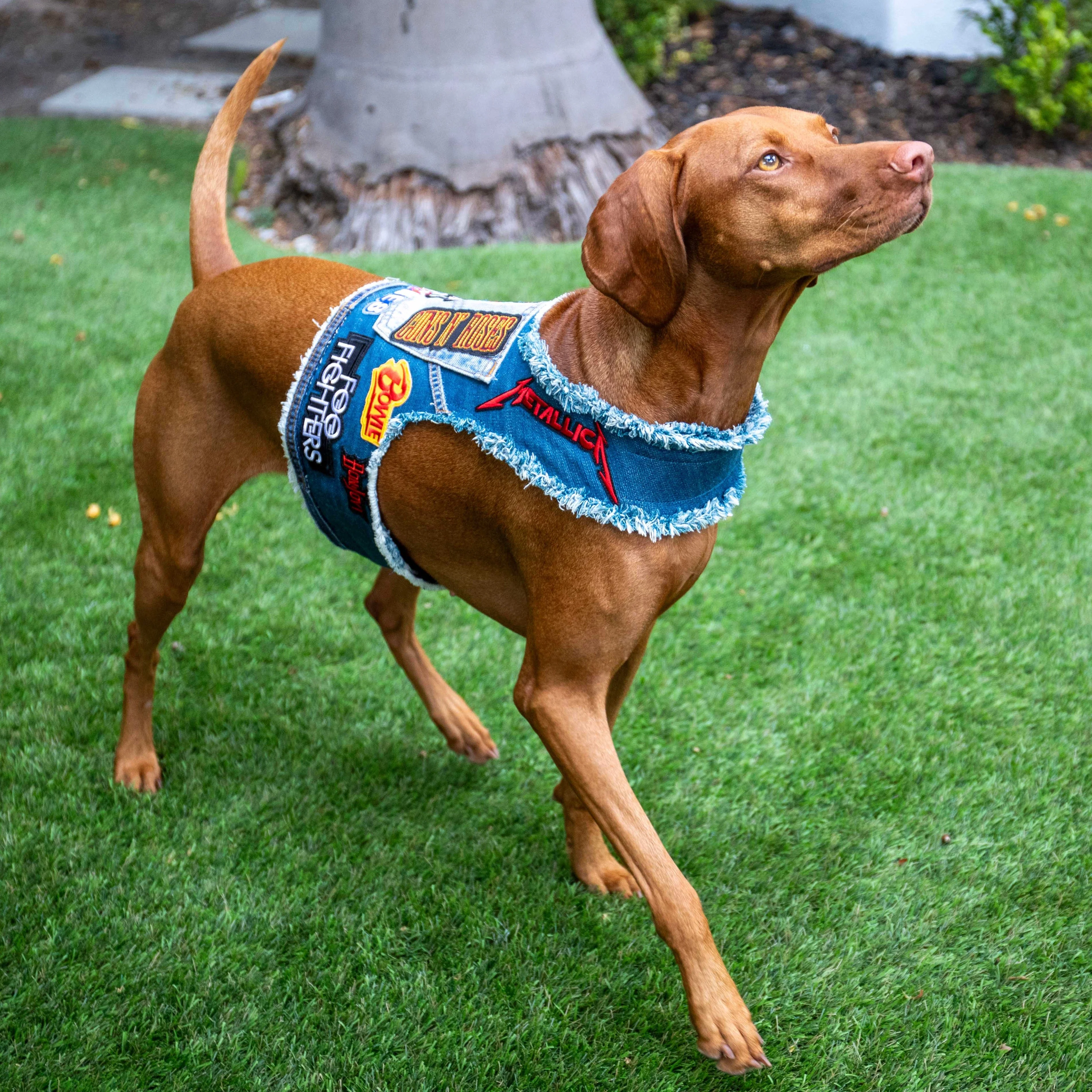 Rocker Harness 2.0 - Image 2