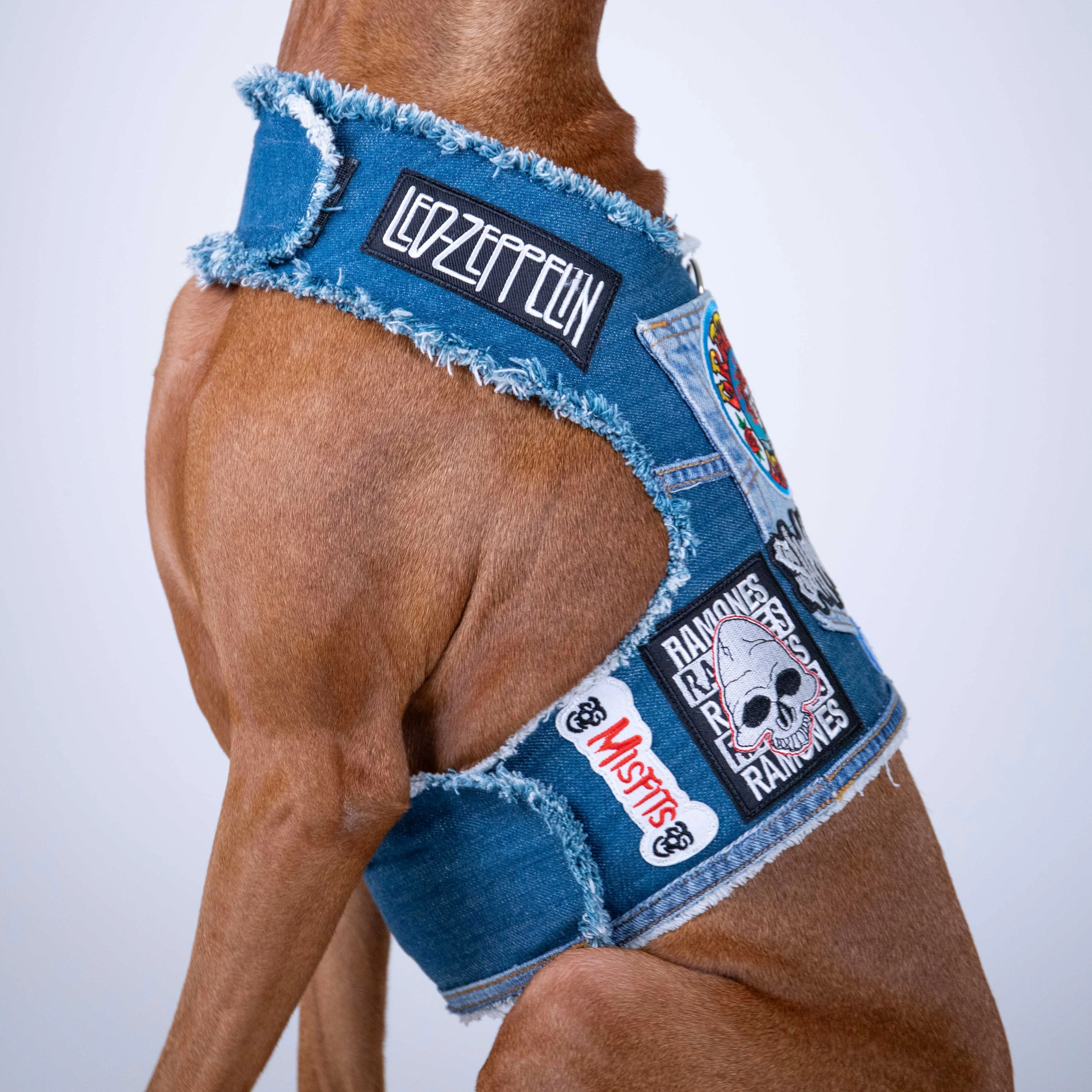 Rocker Harness 2.0 - Image 6
