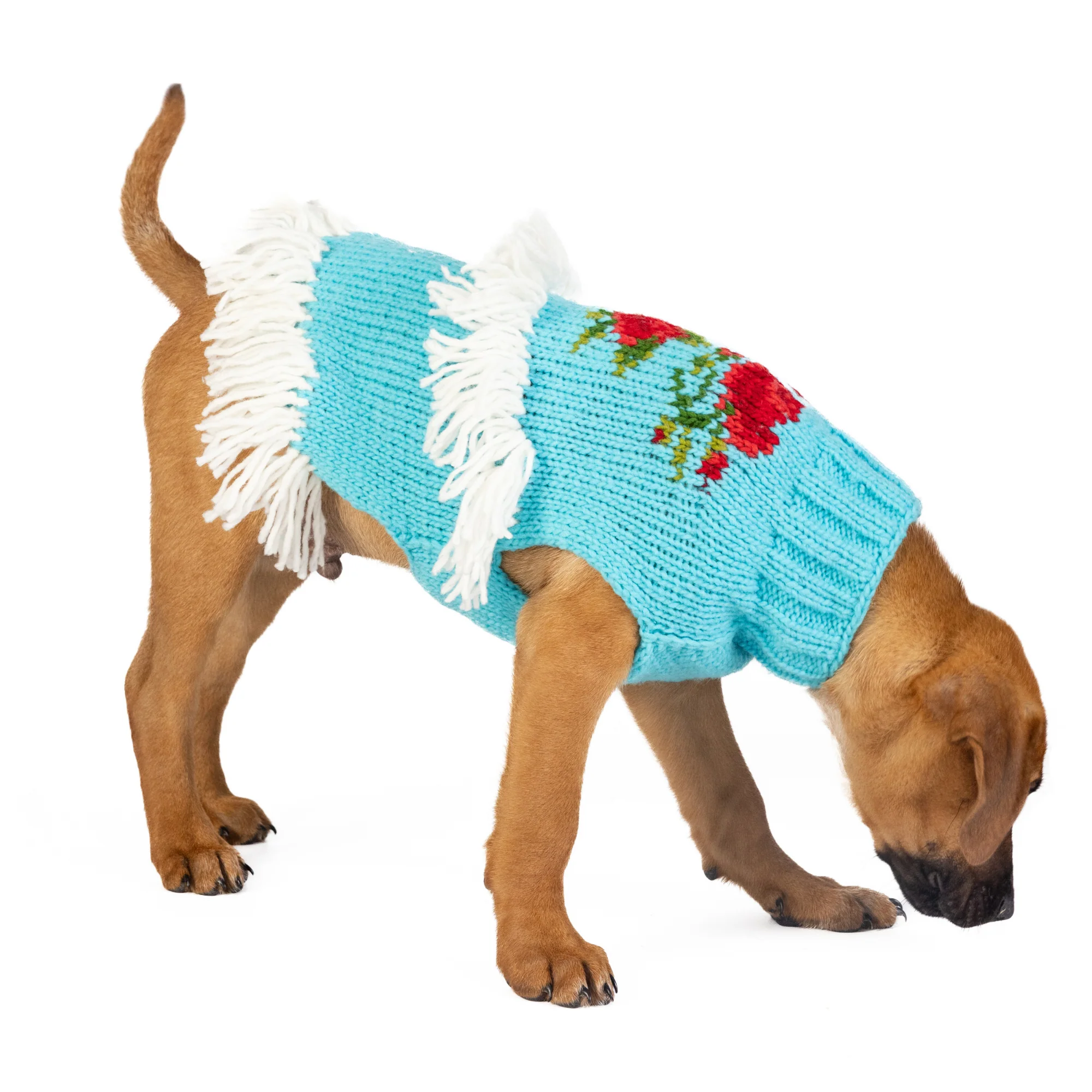 Rodeo Dog Sweater - Image 3