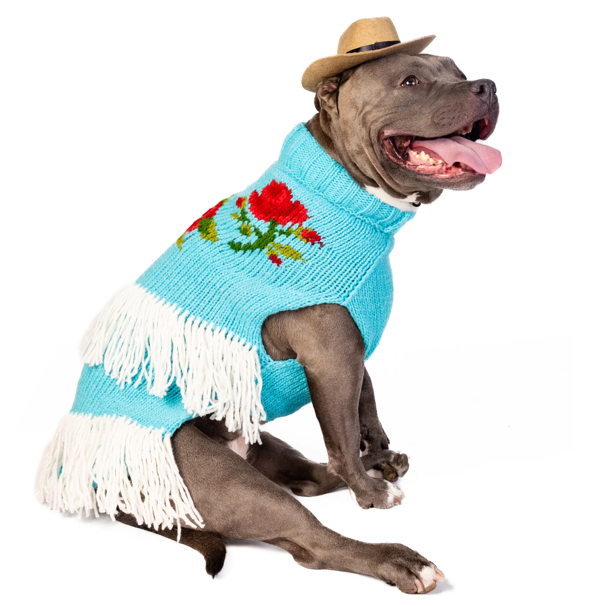 Rodeo Dog Sweater - Image 5