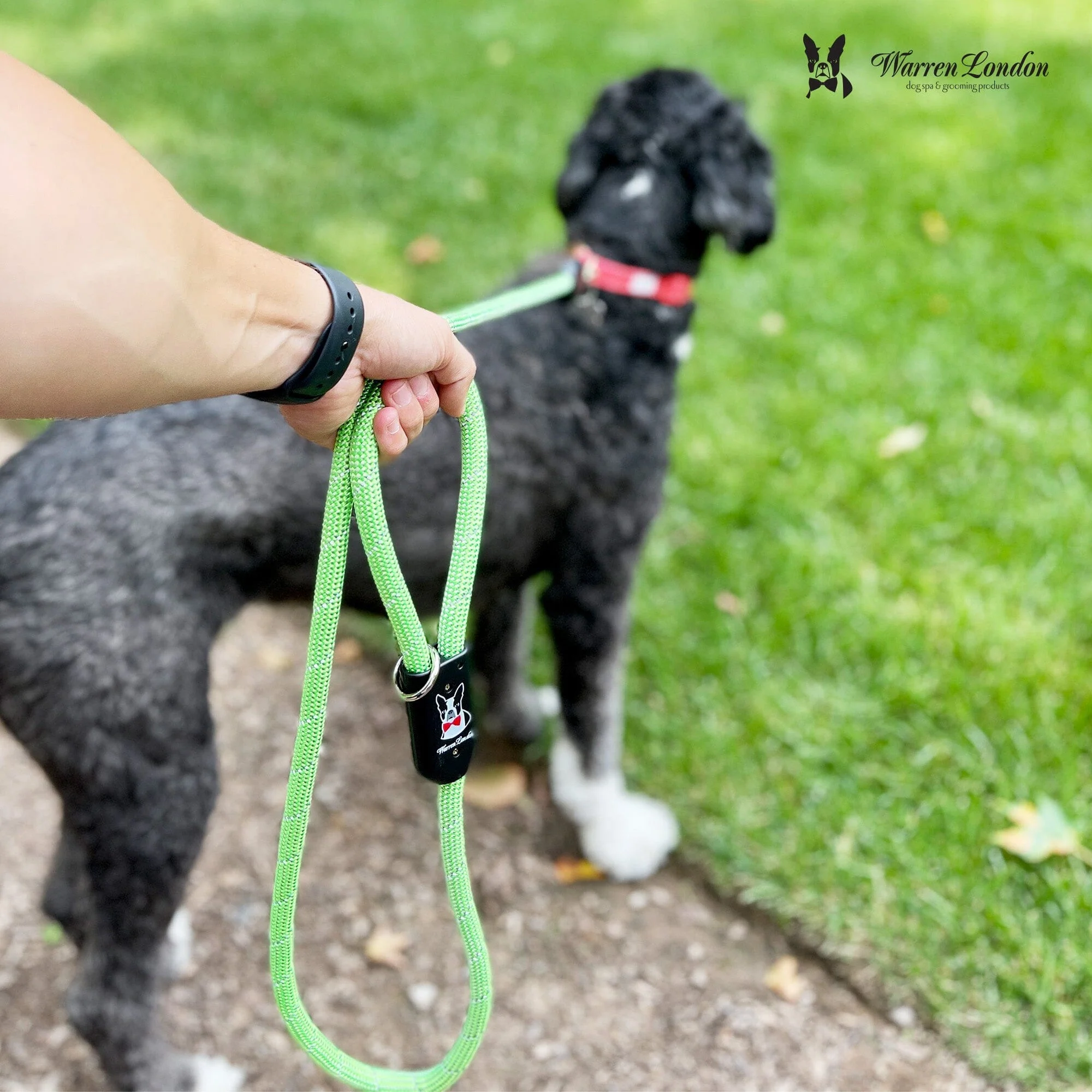 Rope Leash - Green Reflective - Image 4