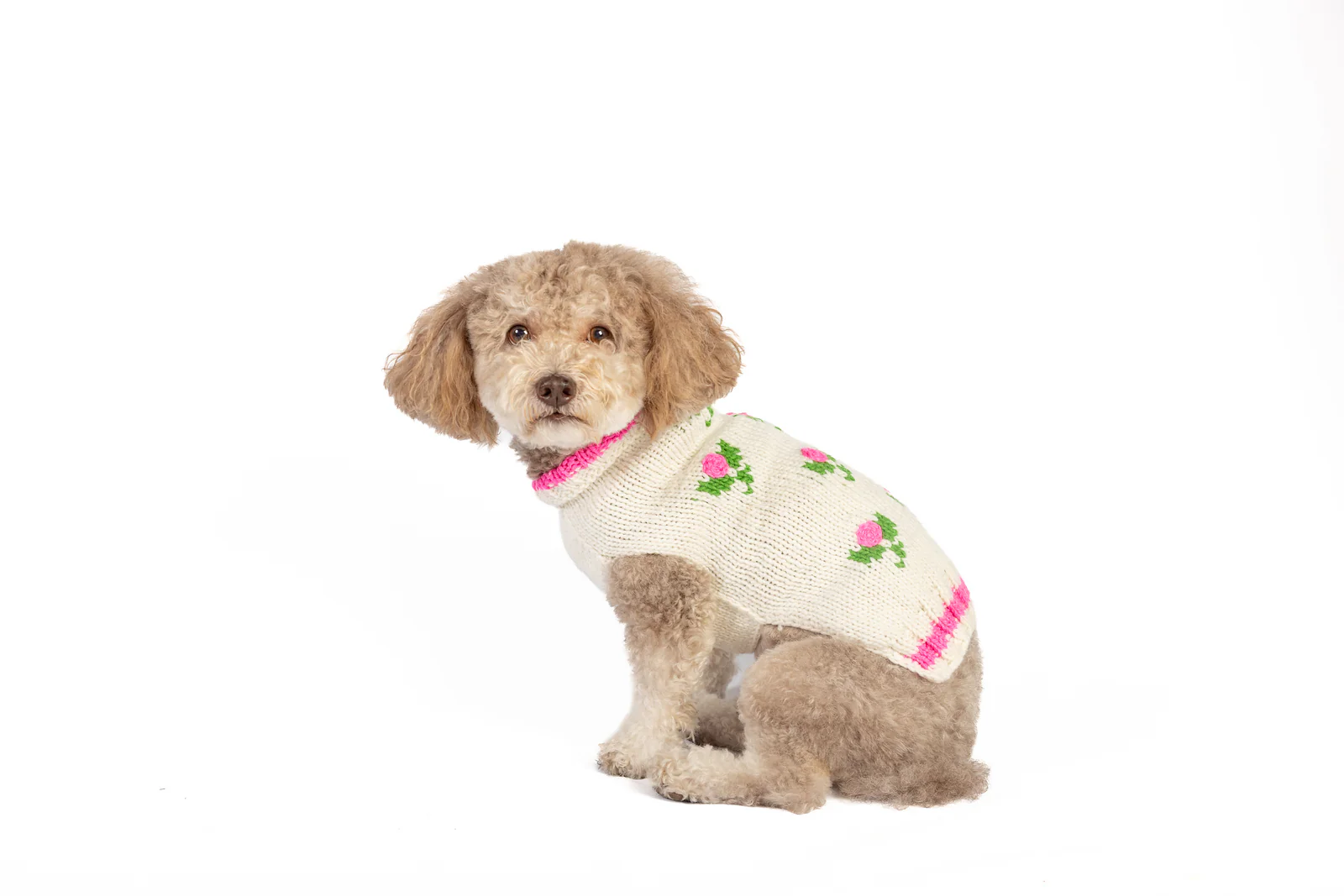 Rose Bud Knit Dog Sweater - Image 5