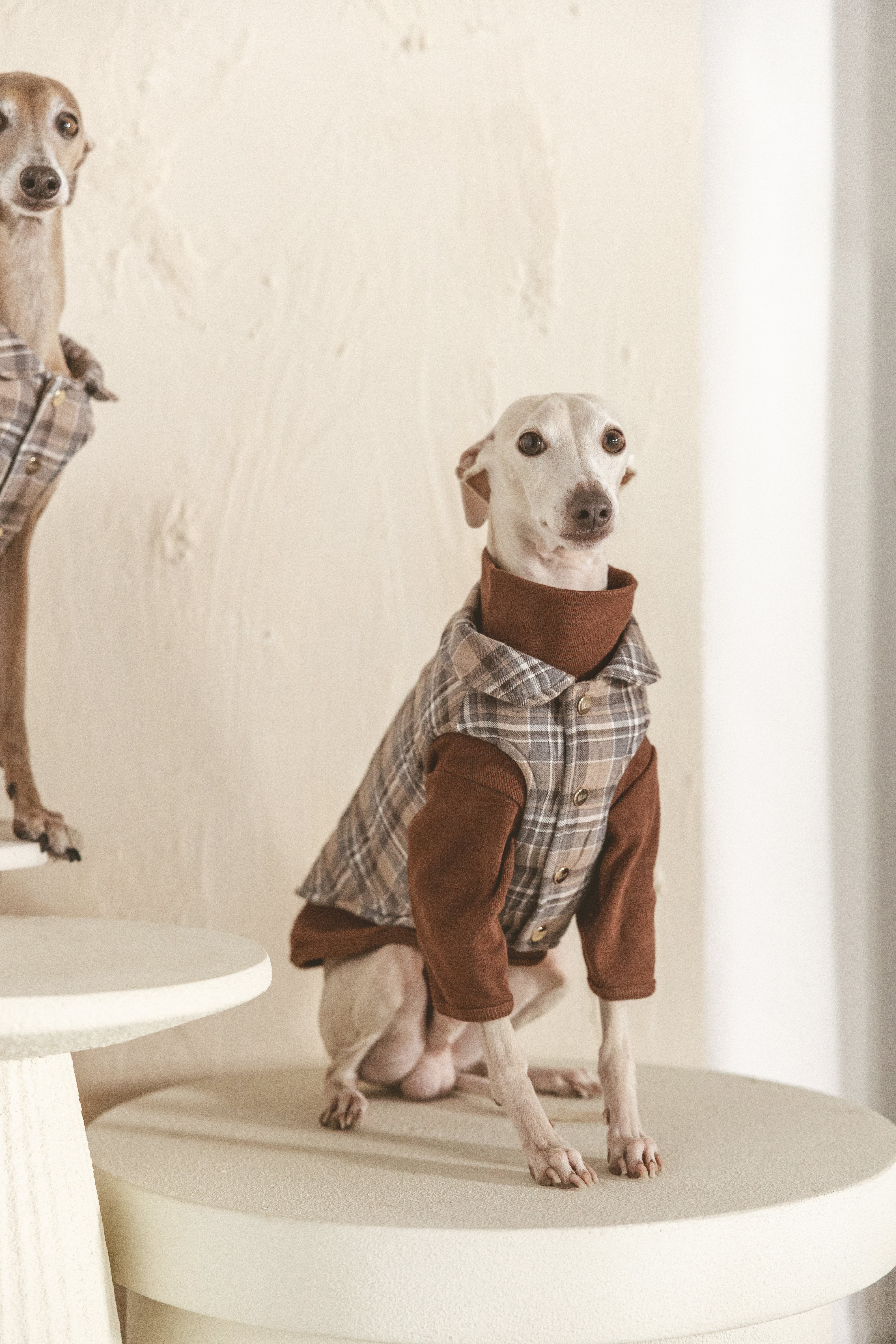 Roux Vest - Image 5