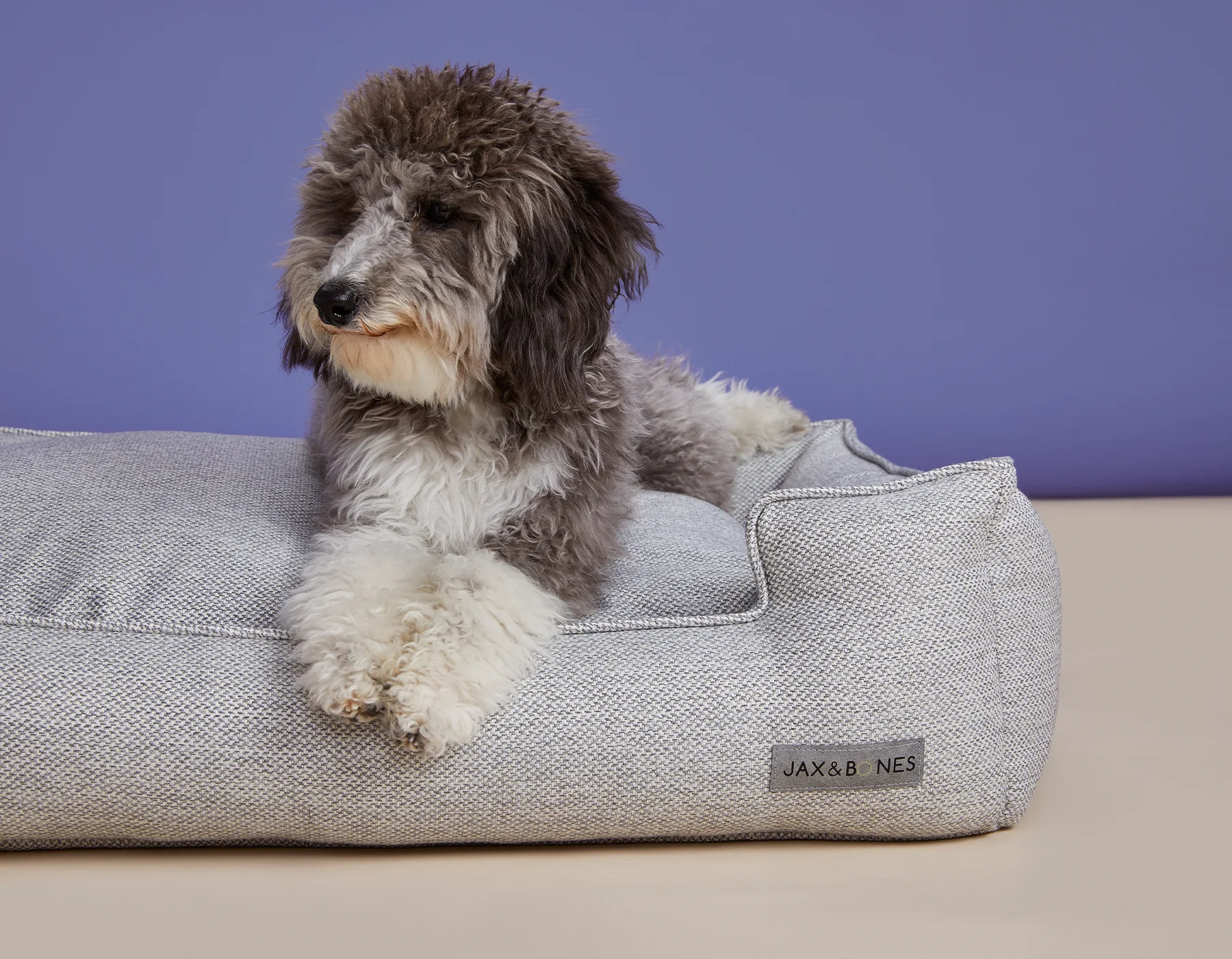 Jax & Bones Royce Dove Lounge Bed Beds - Image 2