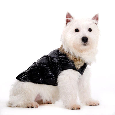 Ruched Reversible Bubble Jacket - Image 15