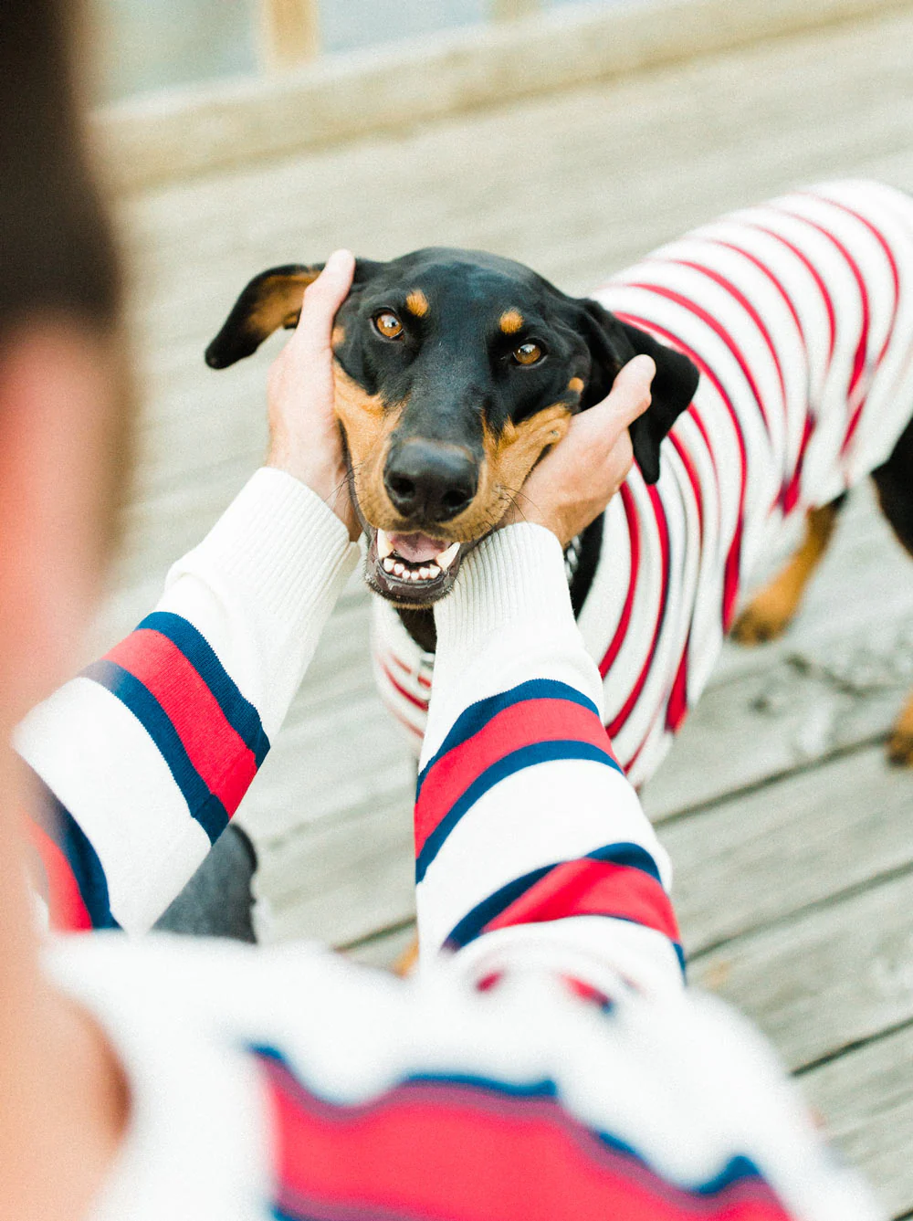 Rugby Sweater - Image 5