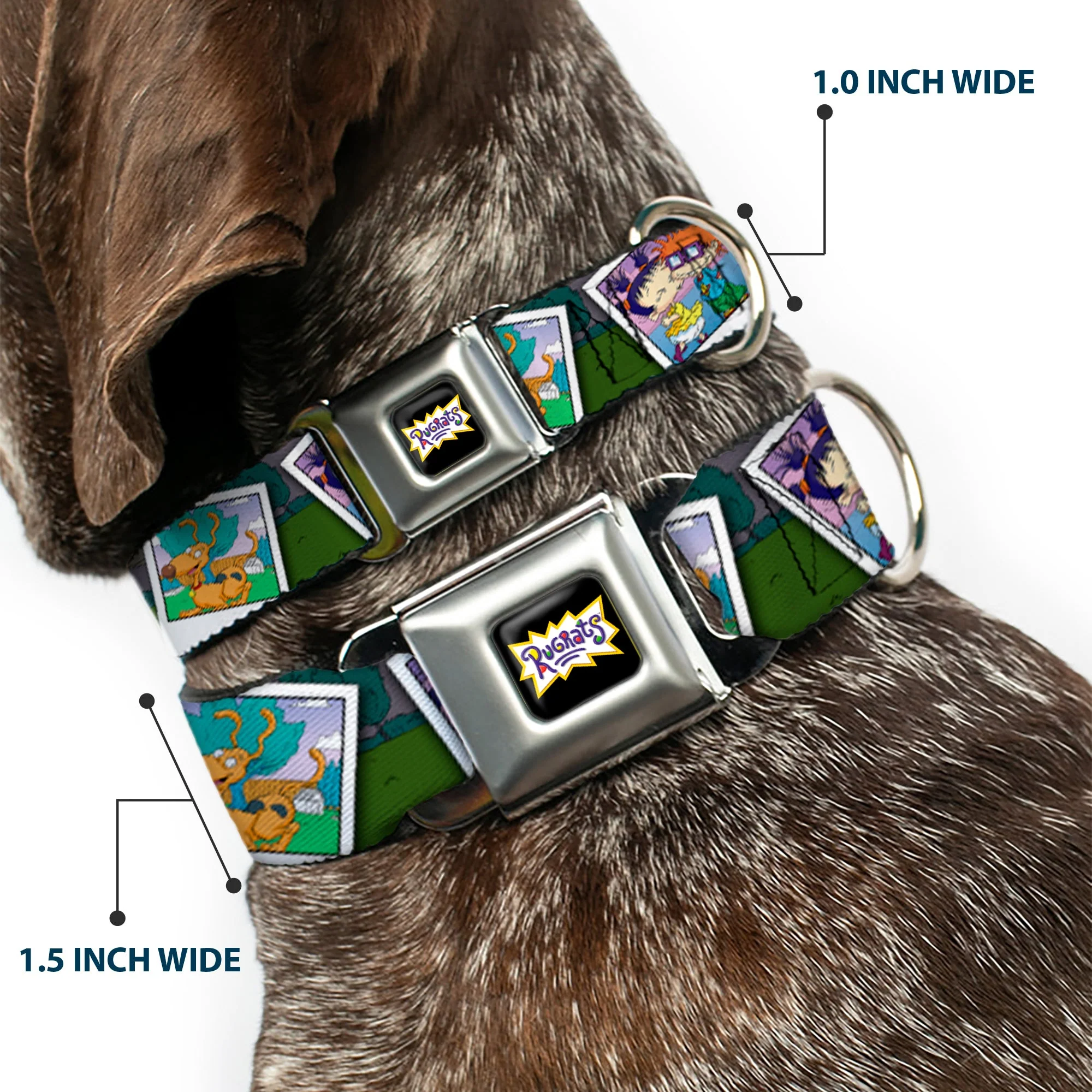 RUGRATS Logo Full Color Seatbelt Buckle Collar - RUGRATS Character Snapshots - Image 2