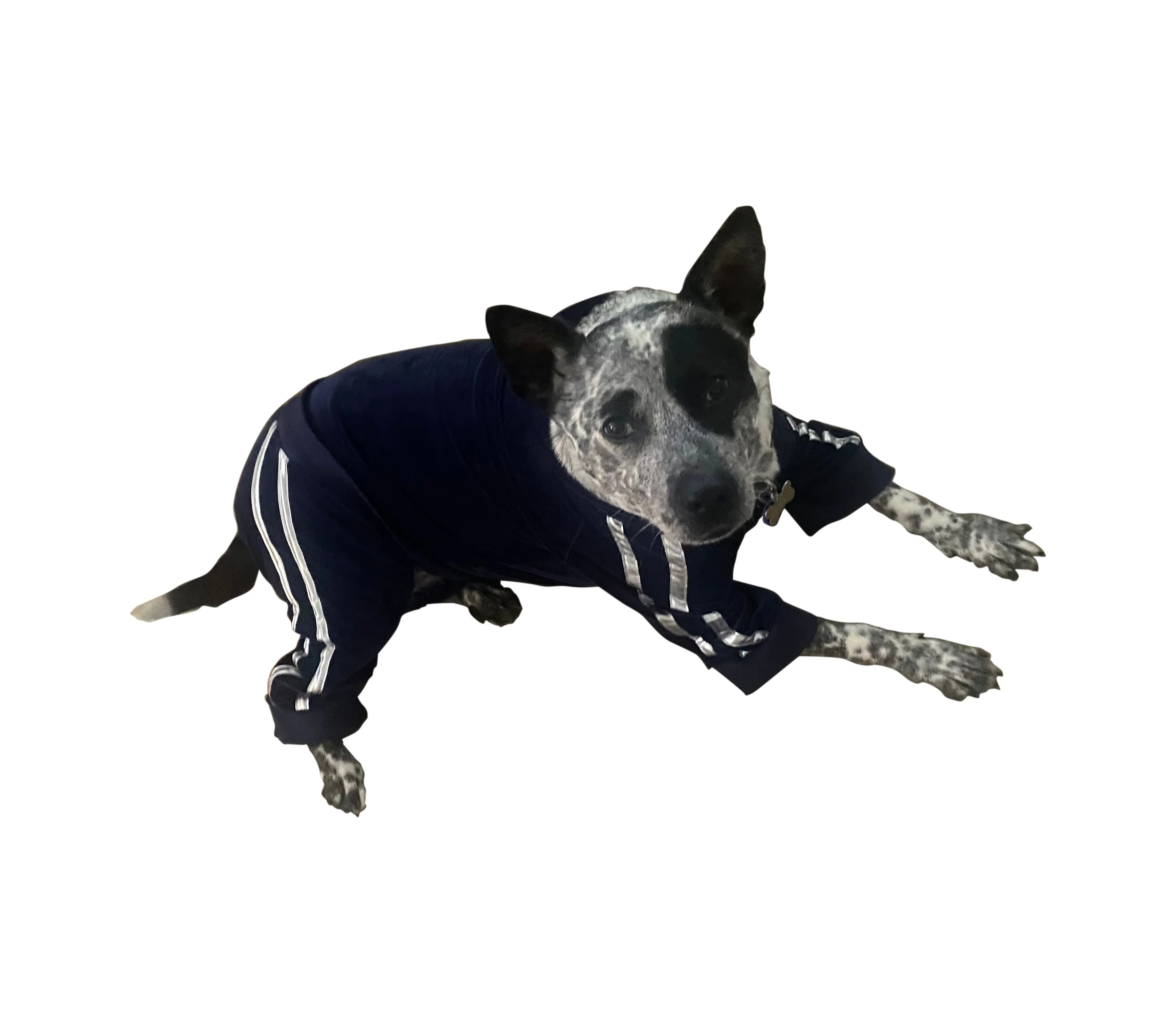 Run Run Run Tracksuit, Navy Blue - Image 3