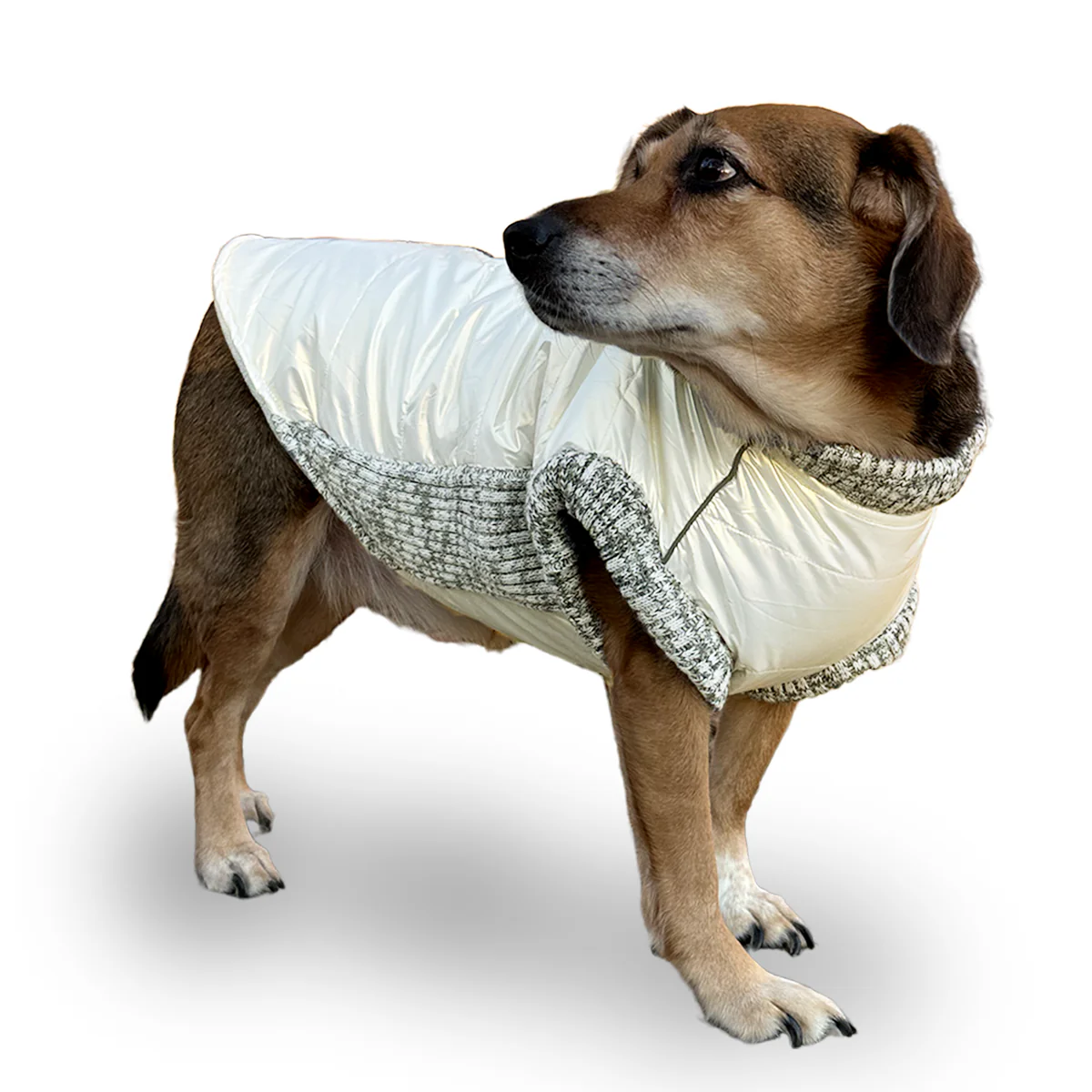 Runner Coat Metallic Pearl White