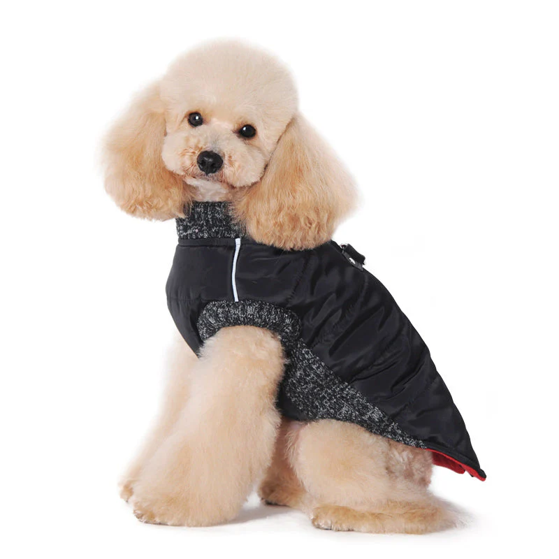Runner Coat Original - Image 3