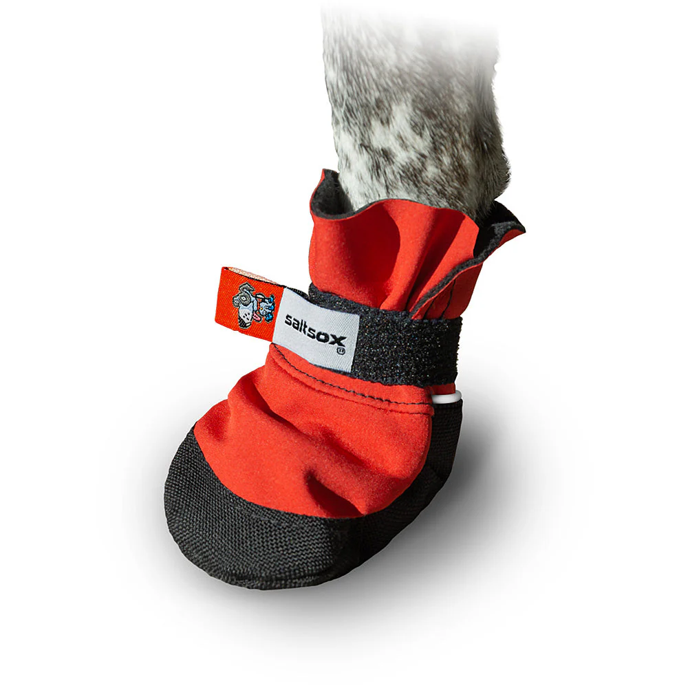 Saltsox 2025 / Ice Fire Red - Image 6