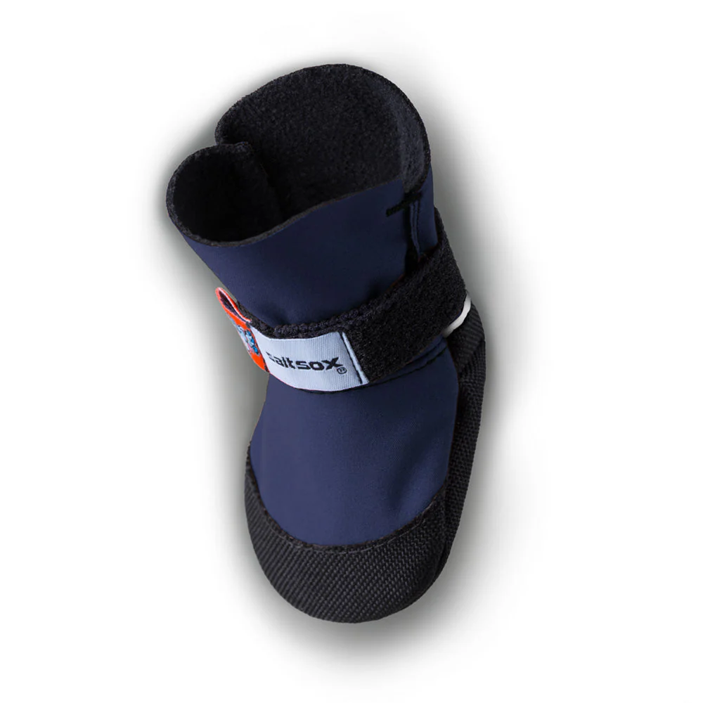 Saltsox 2025 / Winter Night Blue - Image 3