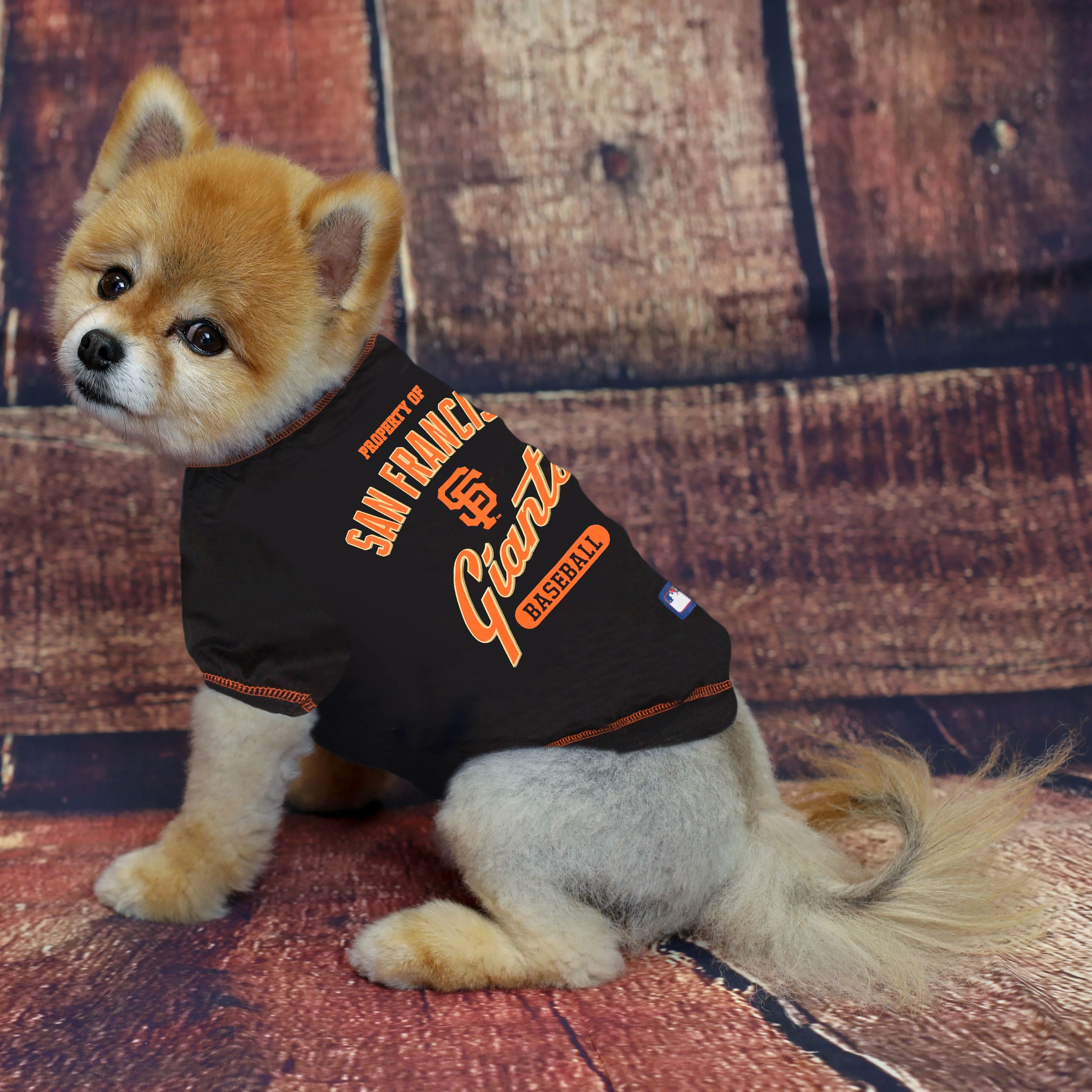 San Francisco Giants Dog Tee Shirt - Image 3