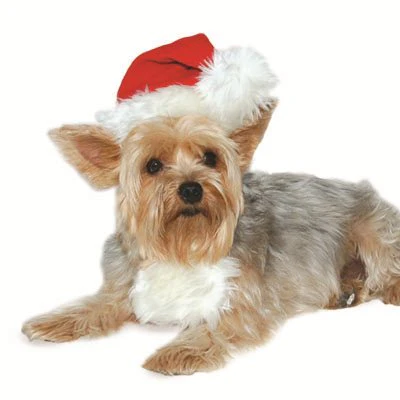 Santa Hat - Image 7