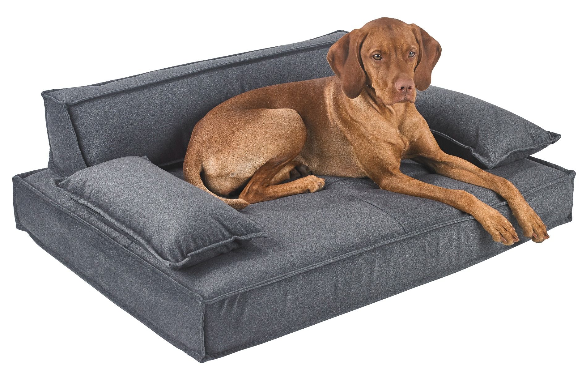 Scandinave Pet Sofa Shadow - Image 4