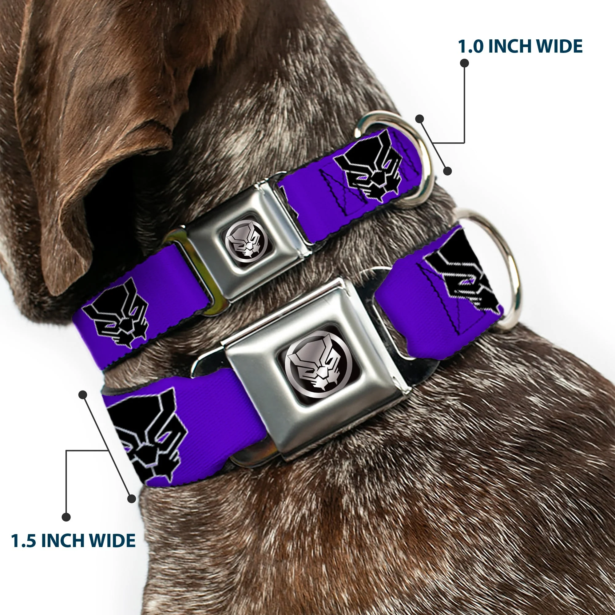 Seatbelt Buckle Collar - Black Panther Avengers Icon Purple/White/Black - Image 2