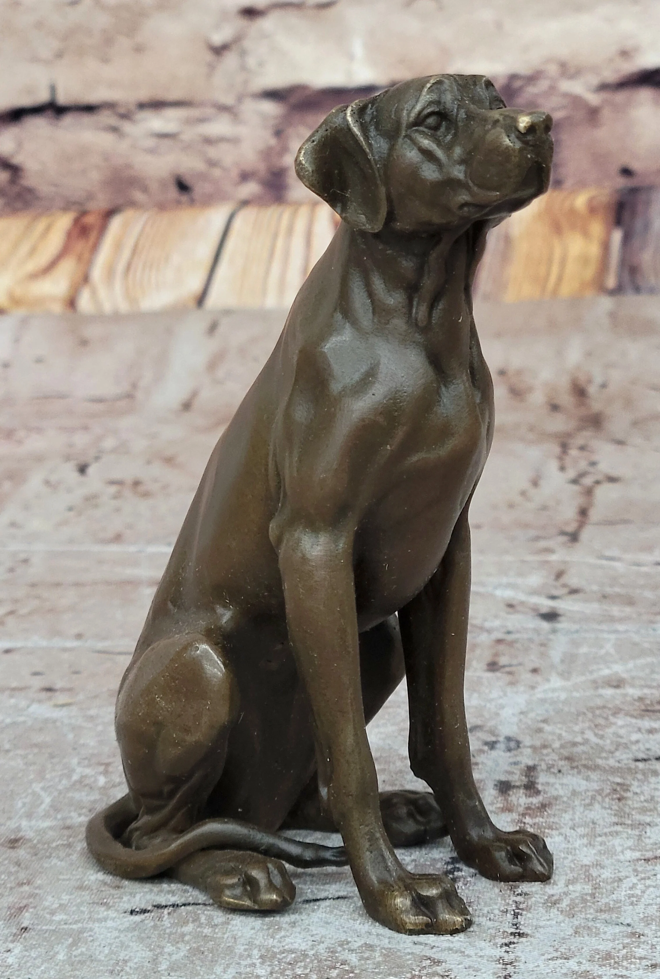Seated Bronze Hunting Dog; Detailed Canine Sculpture for Animal Lovers - Image 4