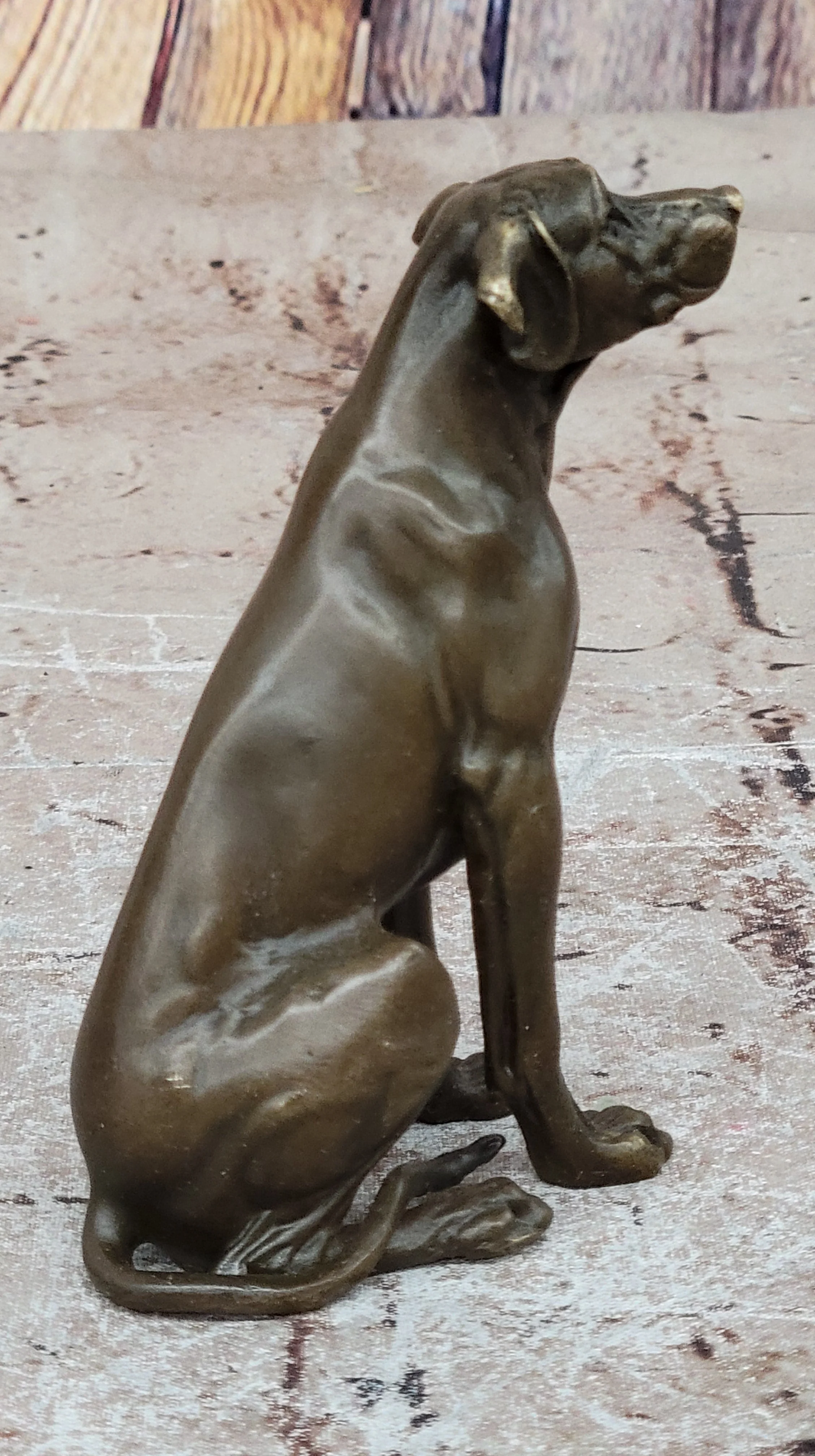 Seated Bronze Hunting Dog; Detailed Canine Sculpture for Animal Lovers - Image 6