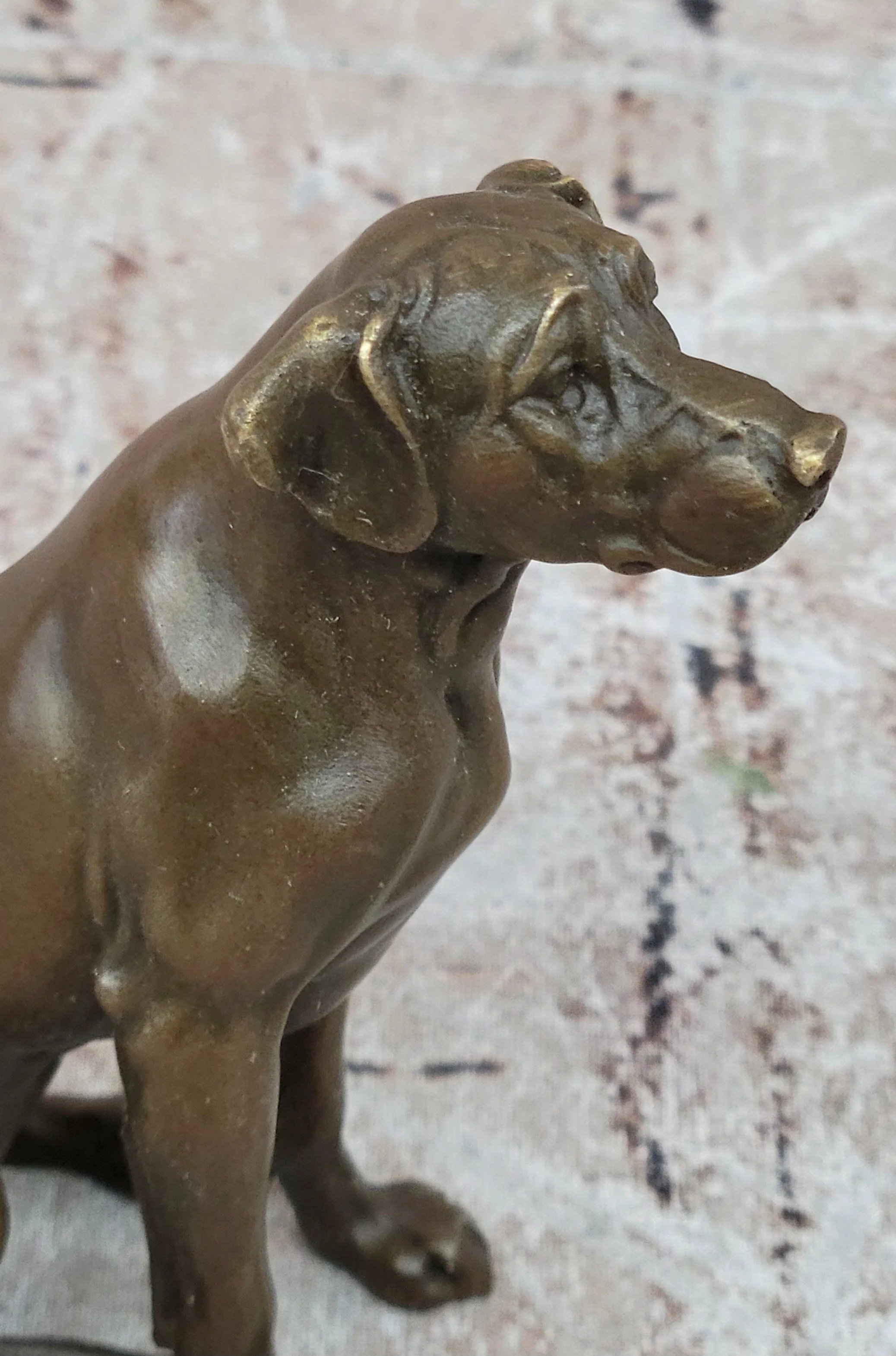 Seated Bronze Hunting Dog; Detailed Canine Sculpture for Animal Lovers - Image 8