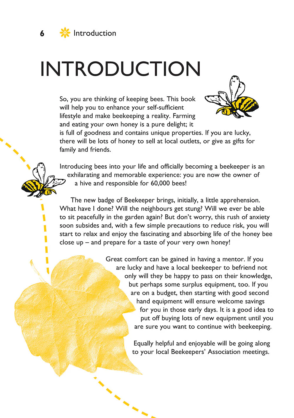 Self-Sufficiency: Beekeeping - Image 3