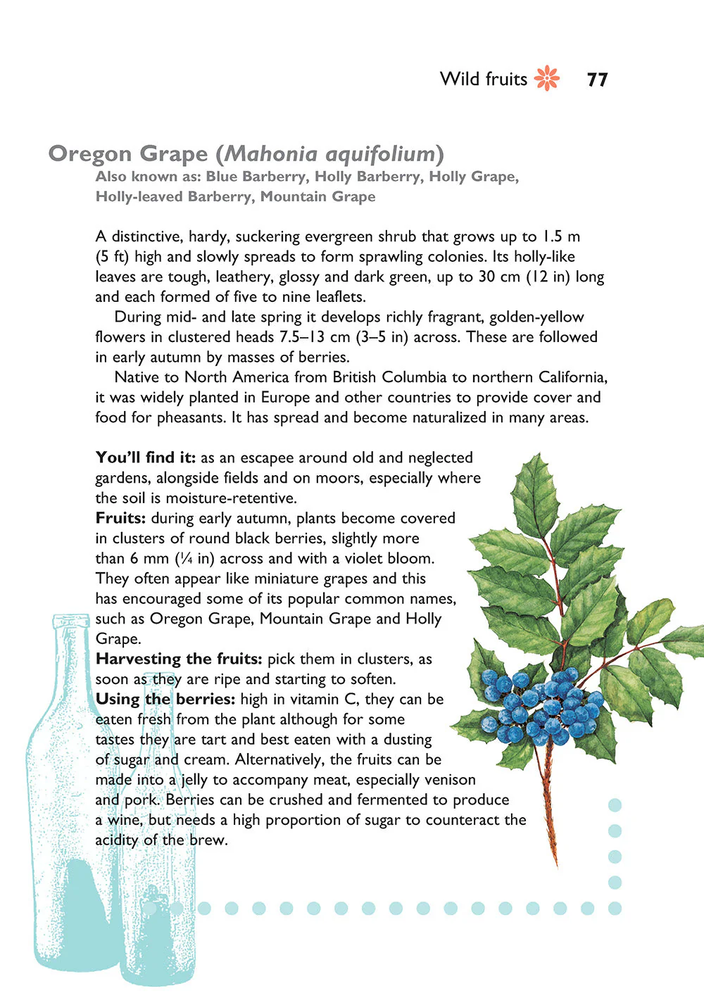 Self-Sufficiency: Foraging for Wild Foods - Image 4