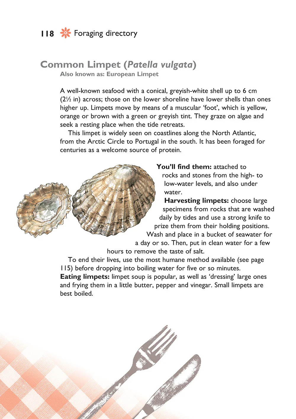 Self-Sufficiency: Foraging for Wild Foods - Image 7