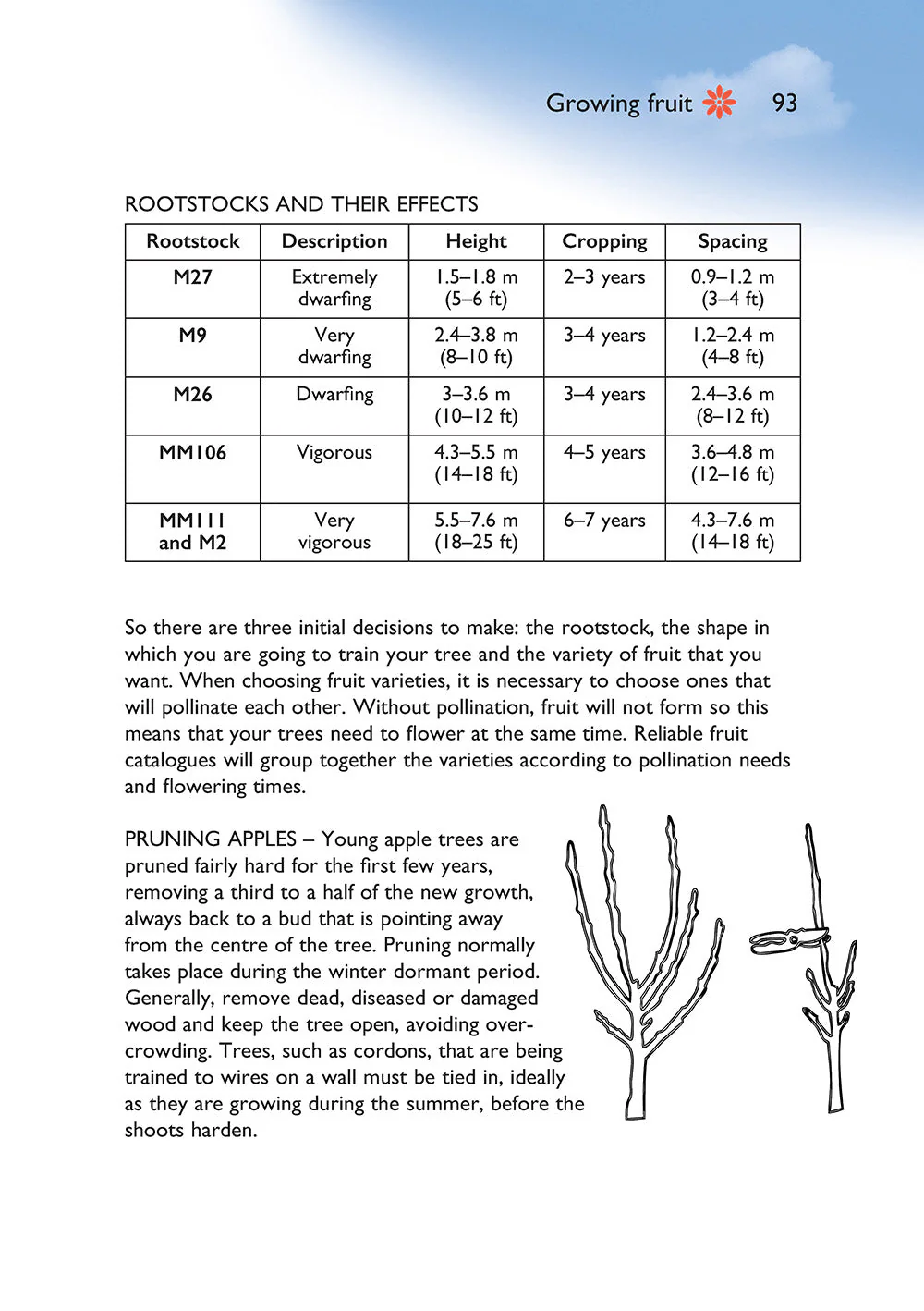 Self-Sufficiency: Grow Your Own - Image 4