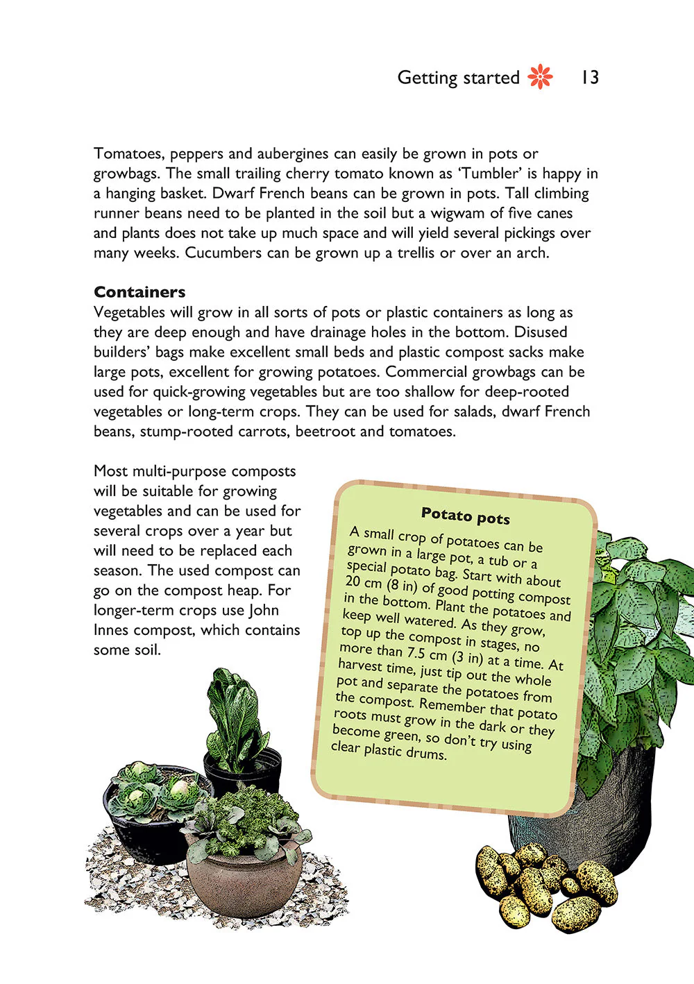 Self-Sufficiency: Grow Your Own - Image 7
