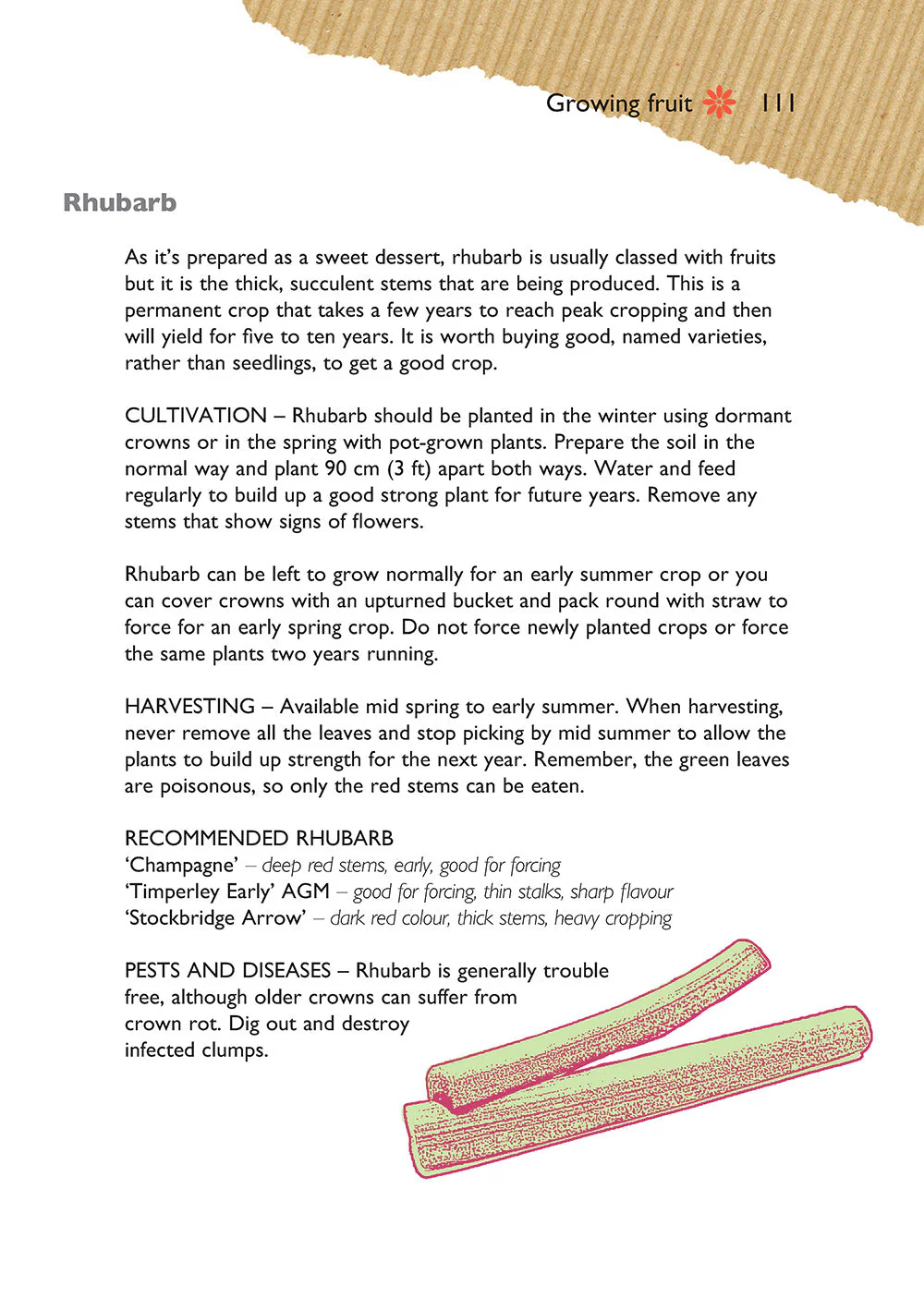 Self-Sufficiency: Grow Your Own - Image 9