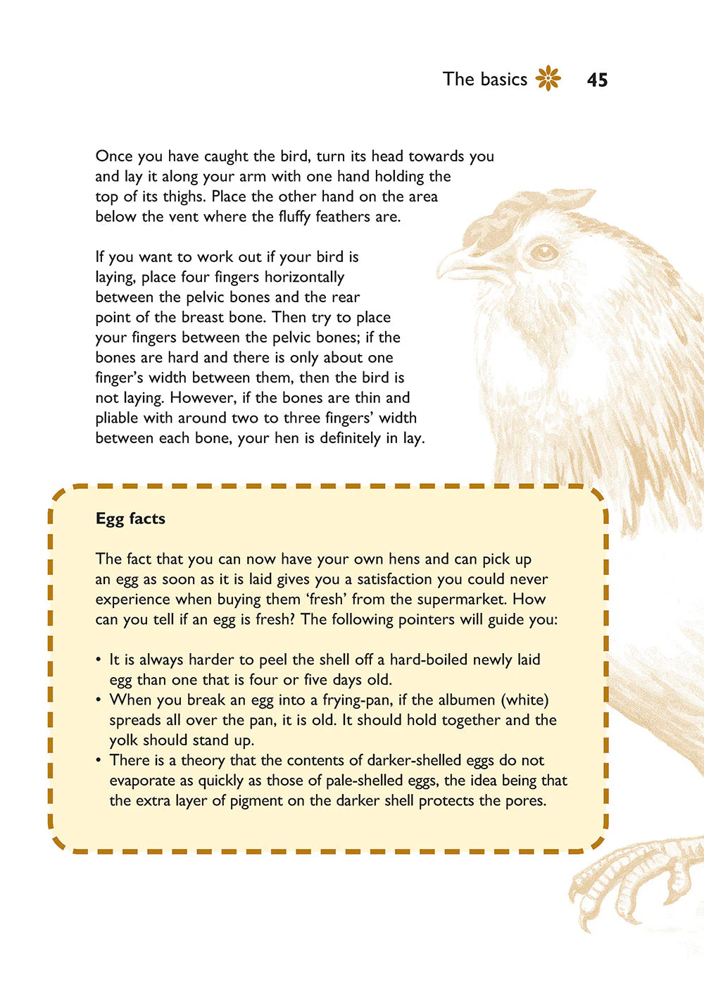 Self-Sufficiency: Hen Keeping - Image 4