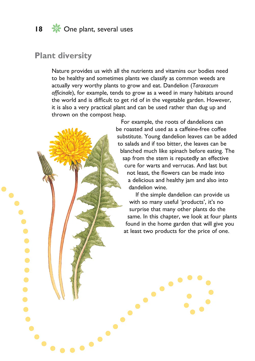 Self-Sufficiency: Herbs and Spices - Image 2