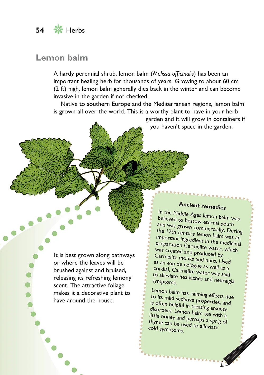 Self-Sufficiency: Herbs and Spices - Image 4