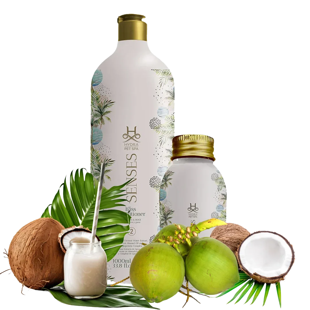 Senses Bliss Conditioner and Booster by Hydra - Image 2