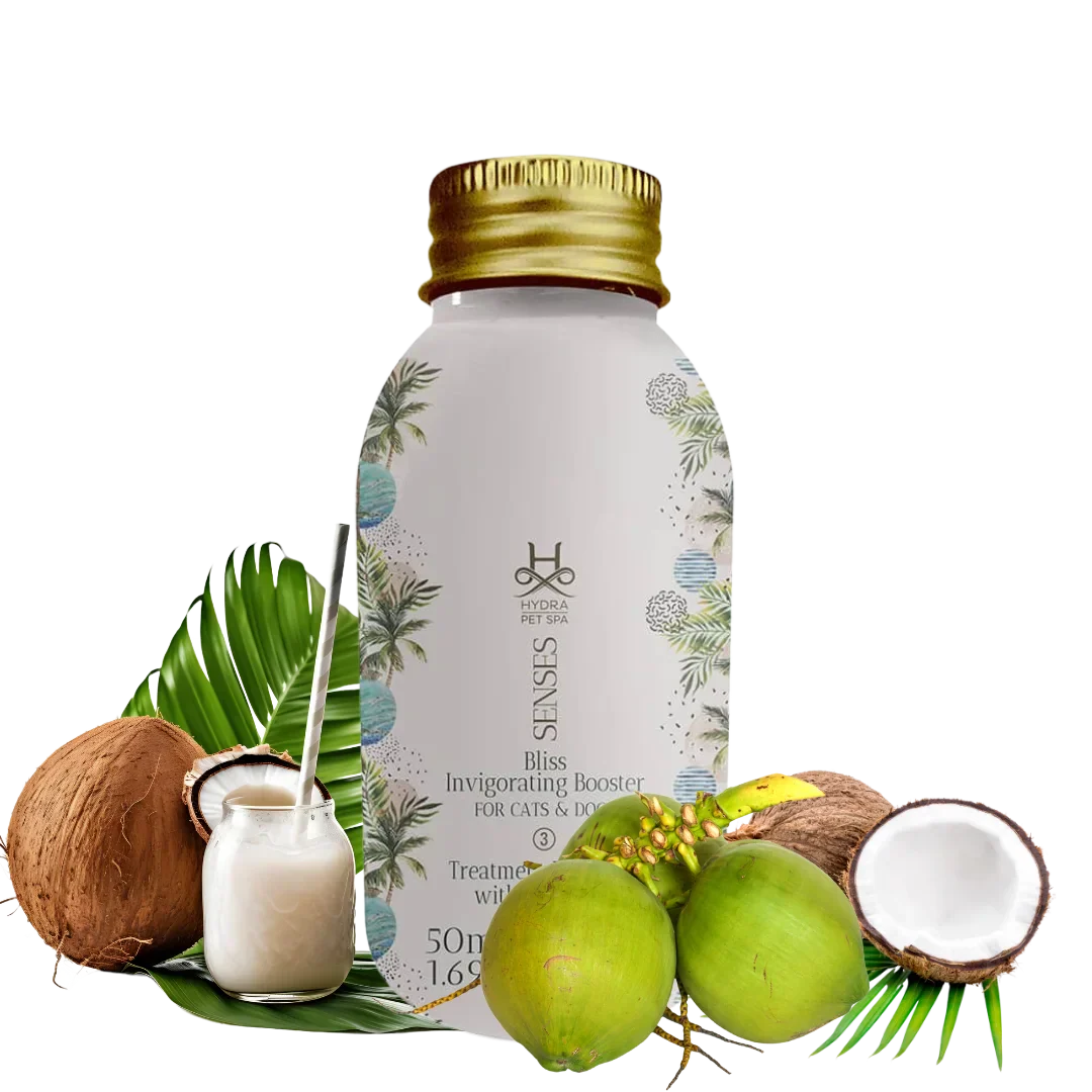 Senses Bliss Fortifying Conditioner Booster by Hydra - Image 2